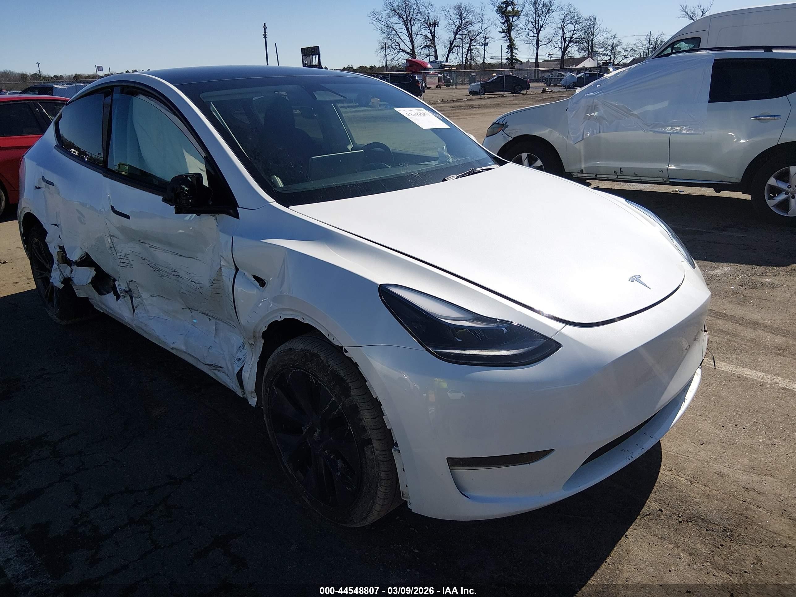 2024 Tesla Model Y, VIN 7SAYGDED9RF133651 — Side