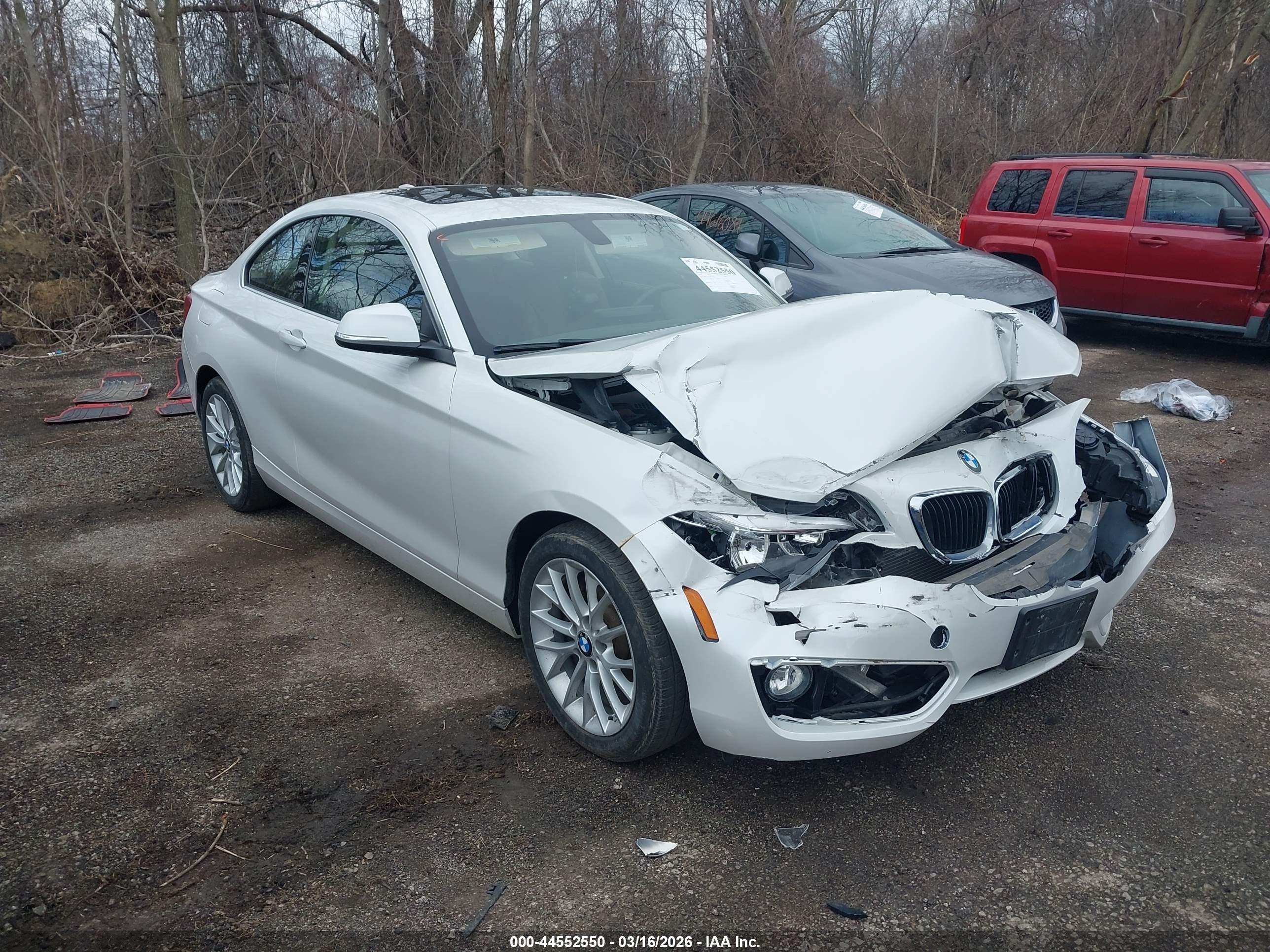2015 BMW 2 Series 228i xDrive, VIN WBA1F7C58FV367241 — Front end