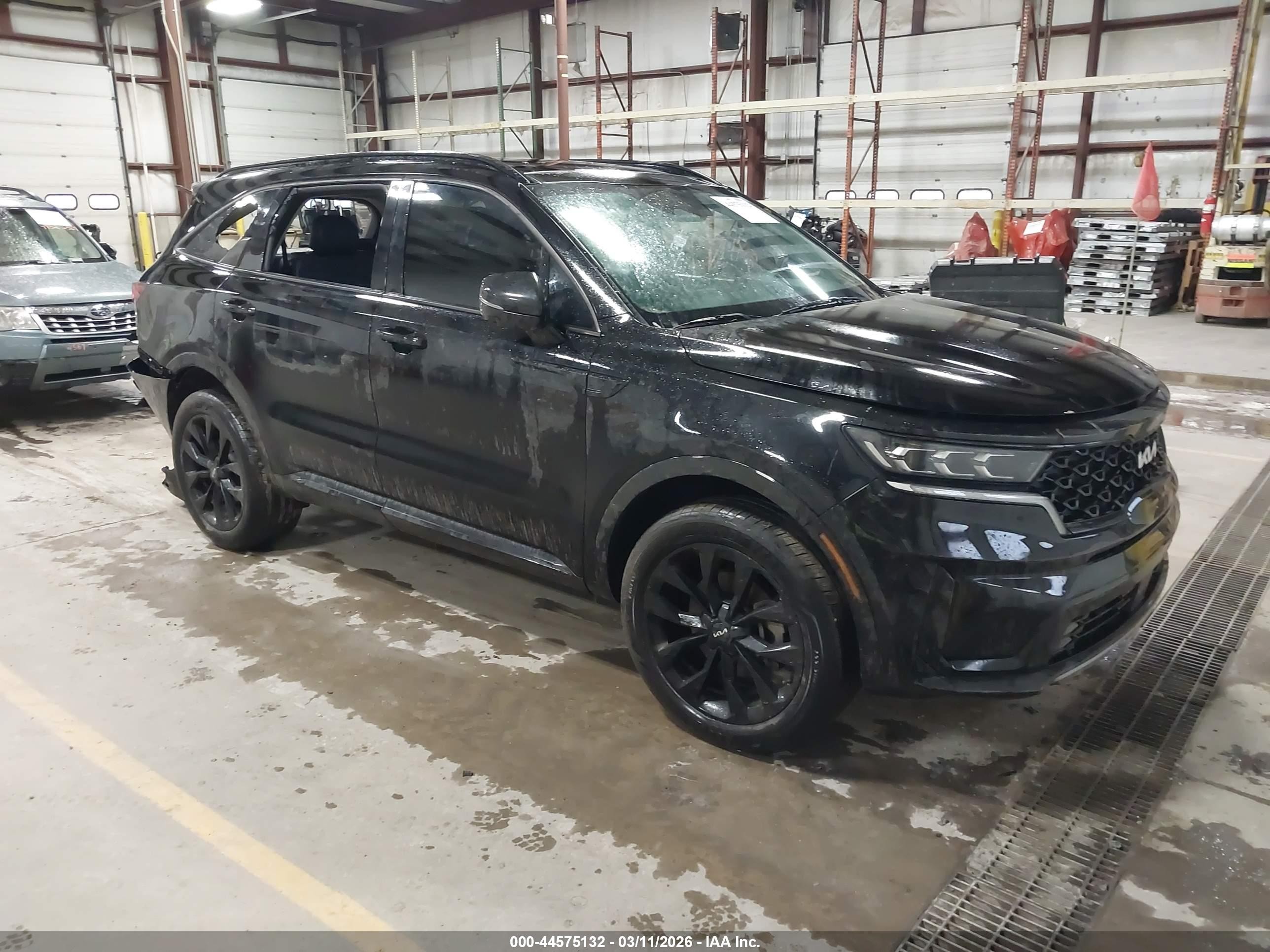 2022 Kia Sorento SX, VIN 5XYRKDLF2NG159189 — Storm