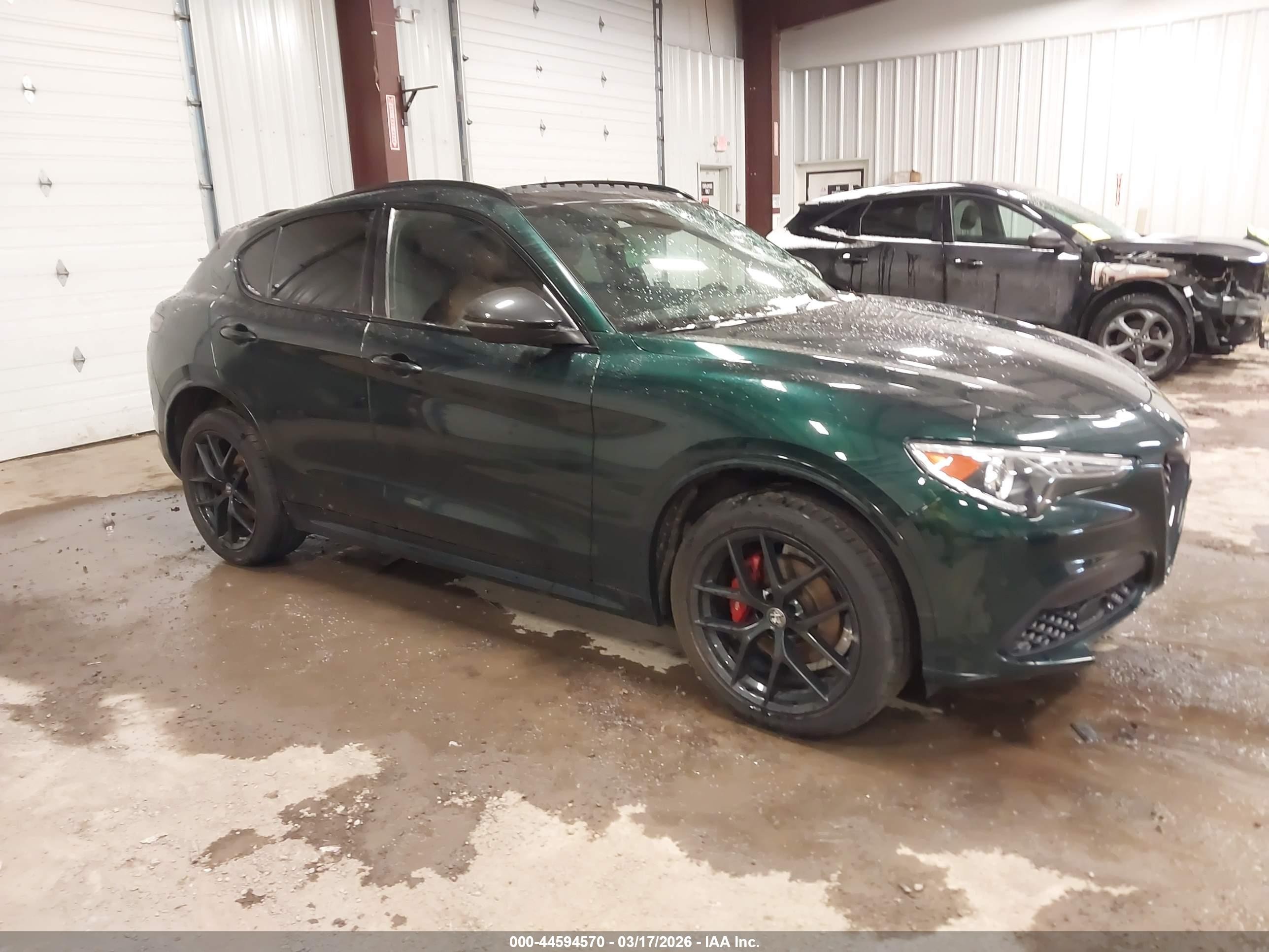 2021 Alfa Romeo Stelvio Ti, VIN ZASPAKBNXM7D18292 — Крыша