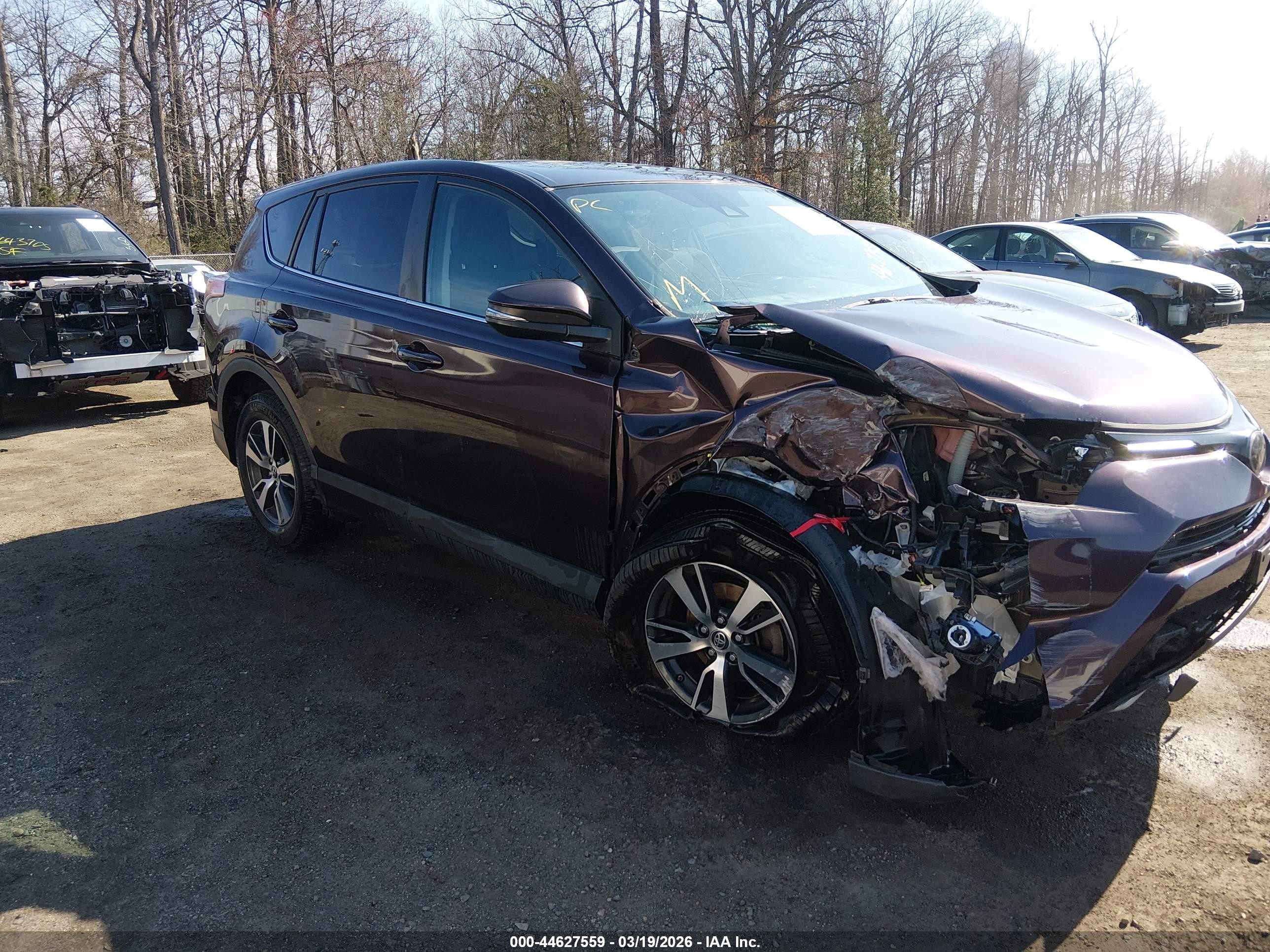 2018 Toyota RAV4 XLE, VIN 2T3RFREV1JW804822 — Front end