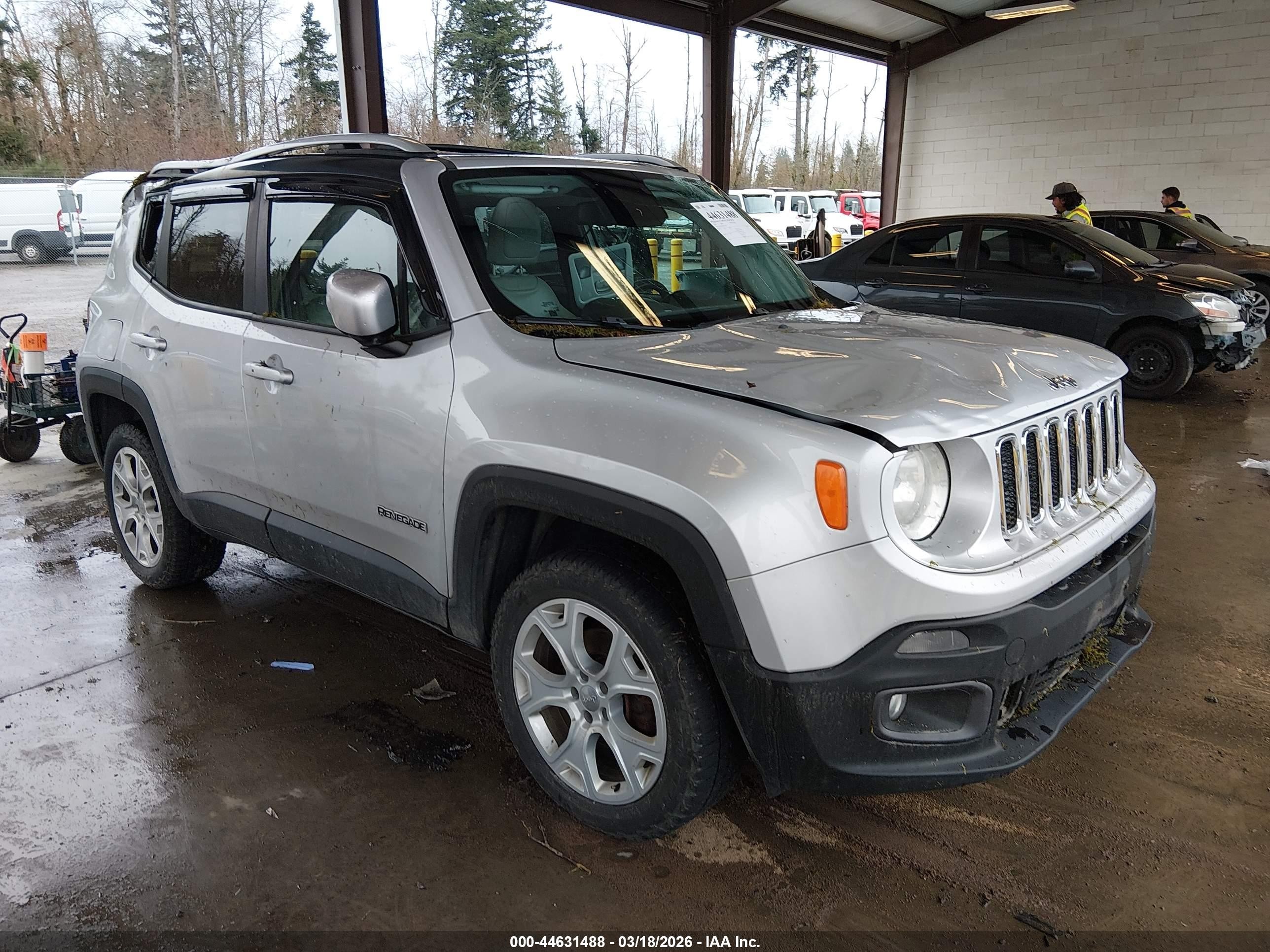 2015 Jeep Renegade Limited, VIN ZACCJBDT0FPC40176 — Storm