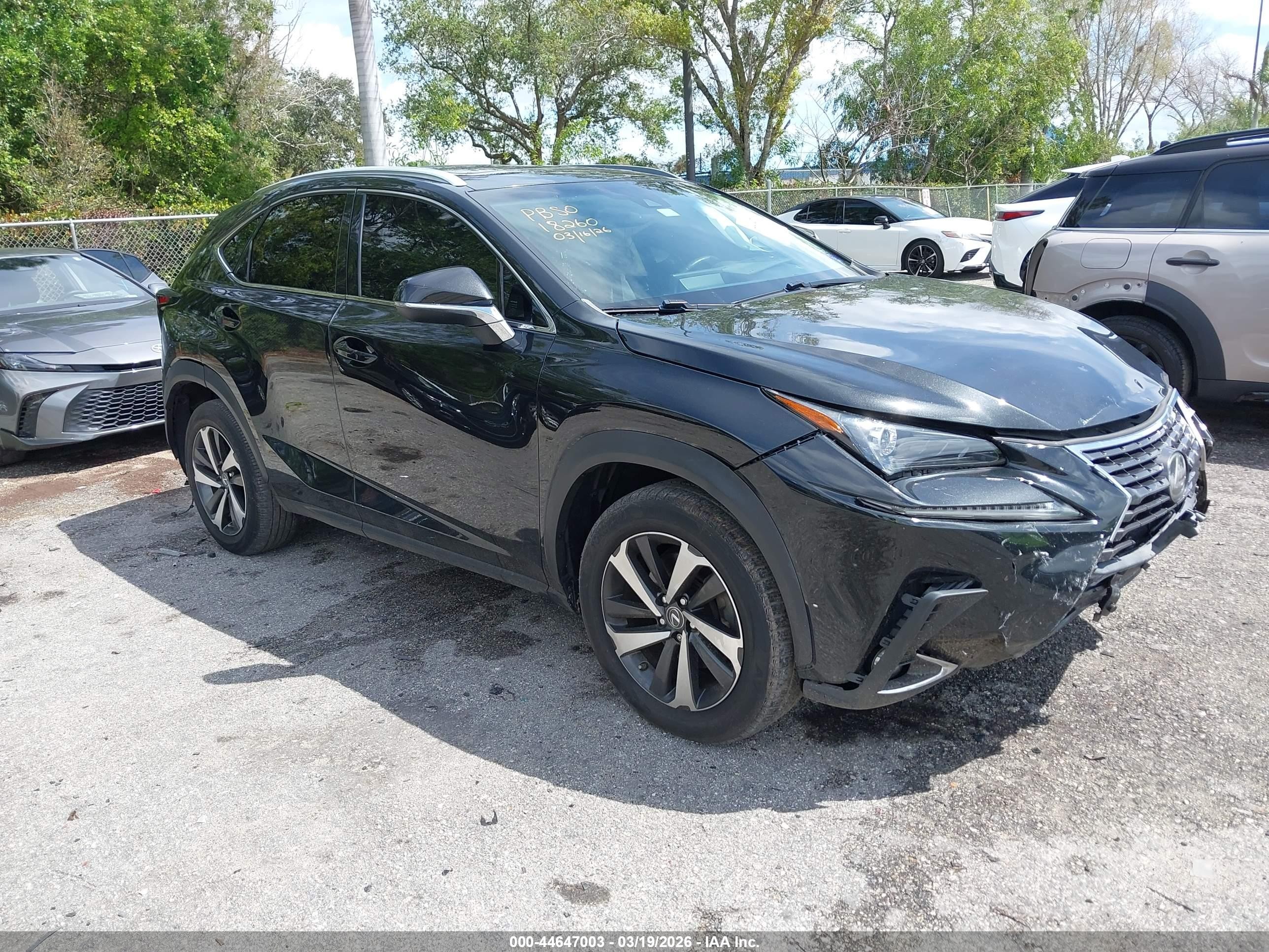 2019 Lexus NX 300, VIN JTJBARBZ9K2212759 — All over