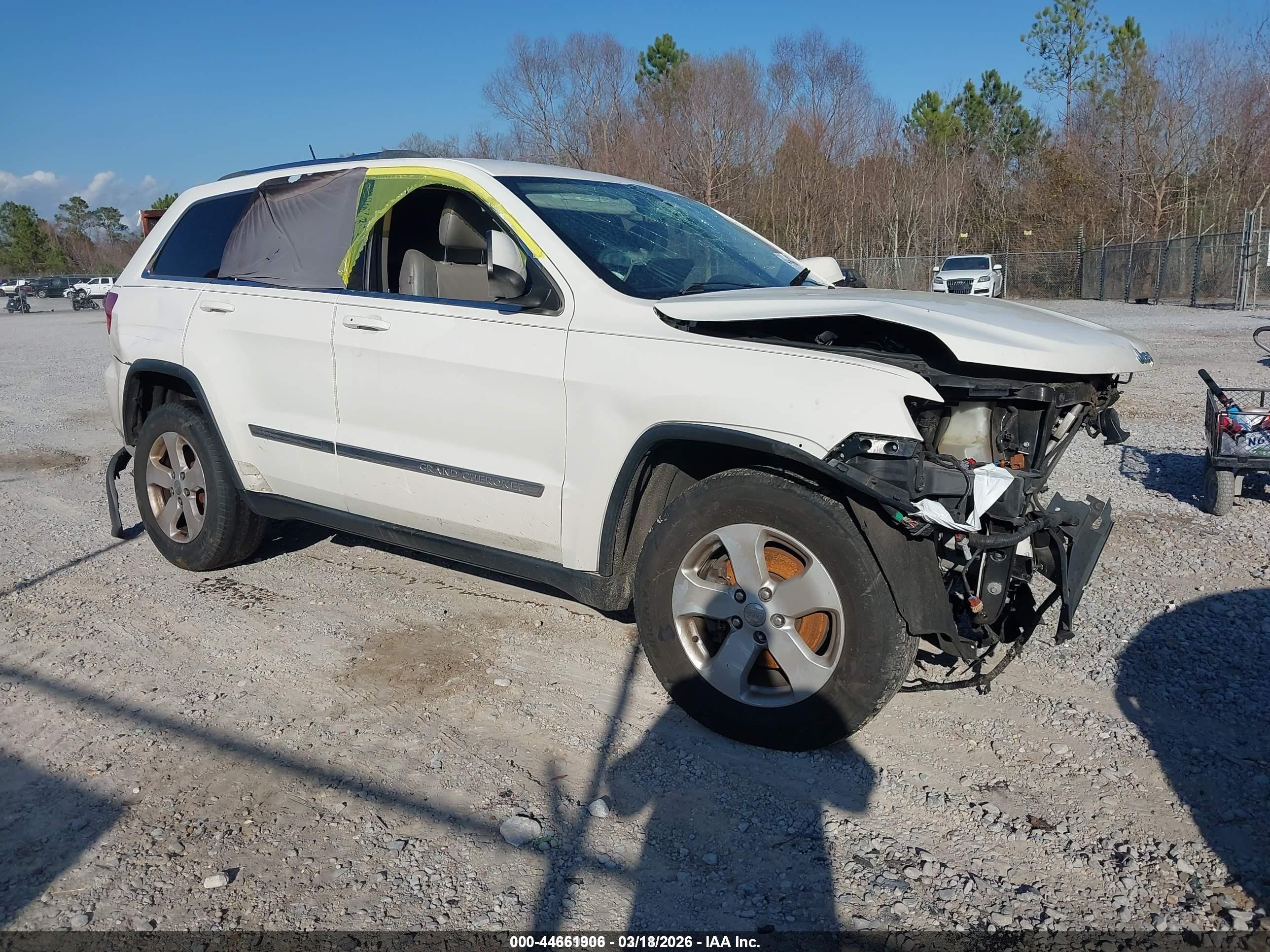 2012 Jeep Grand Cherokee Laredo, VIN 1C4RJEAG3CC259517 — Биологическое загрязнение