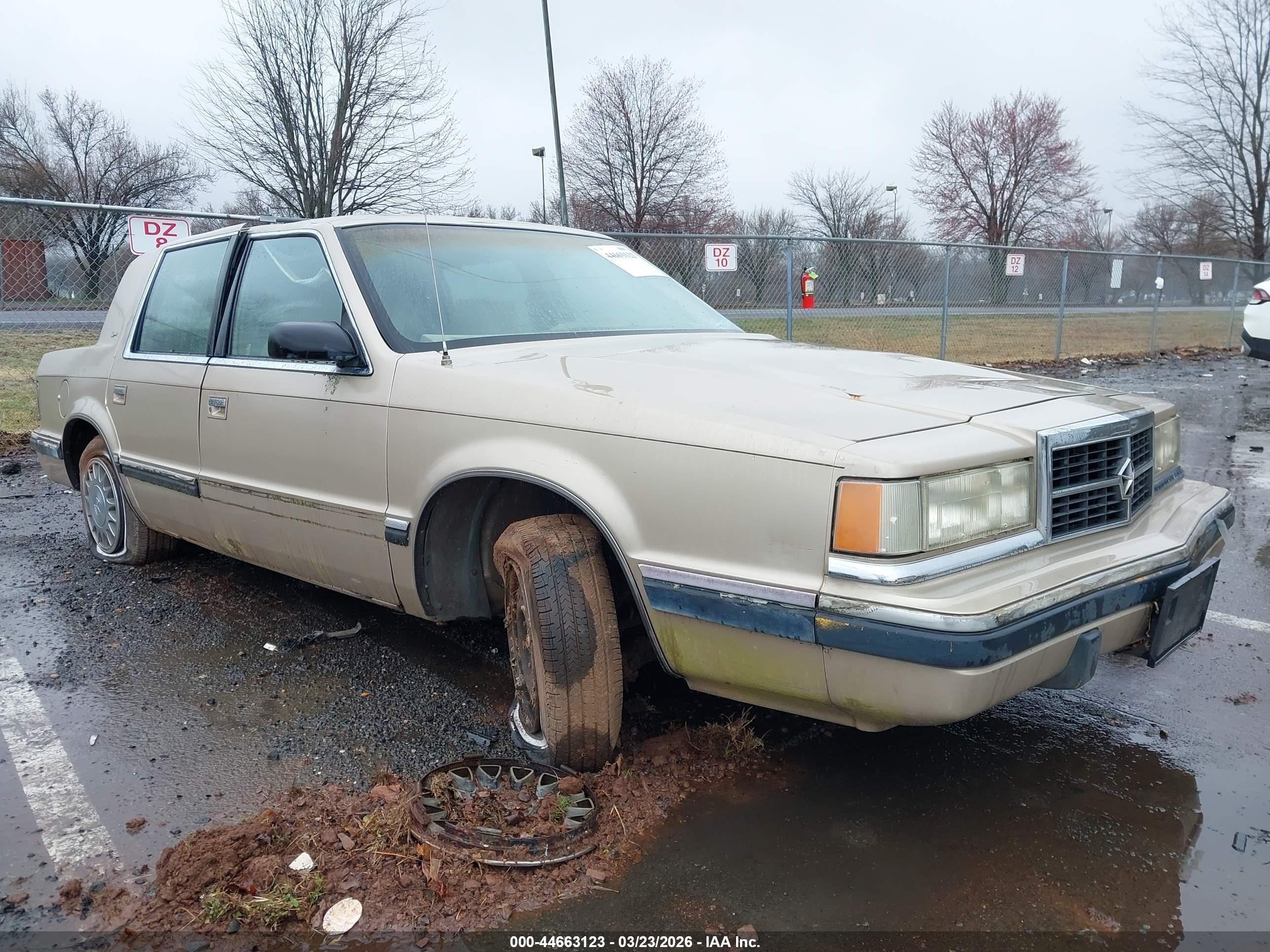 1991 Dodge Dynasty LE, VIN 1B3XC56R5MD124466 — All over