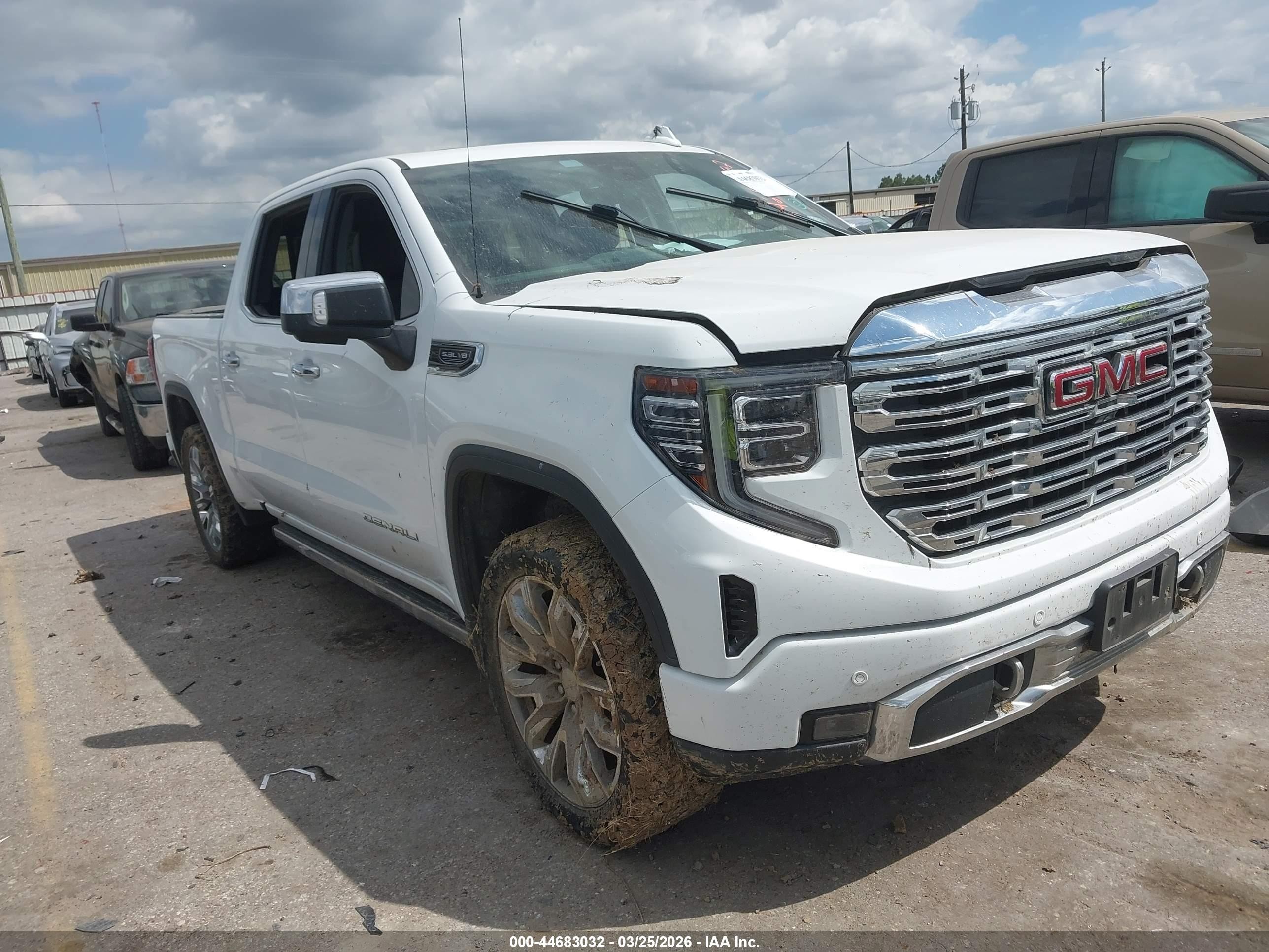 2023 GMC Sierra 1500 Denali, VIN 3GTUUGED6PG123656 — Пресная вода