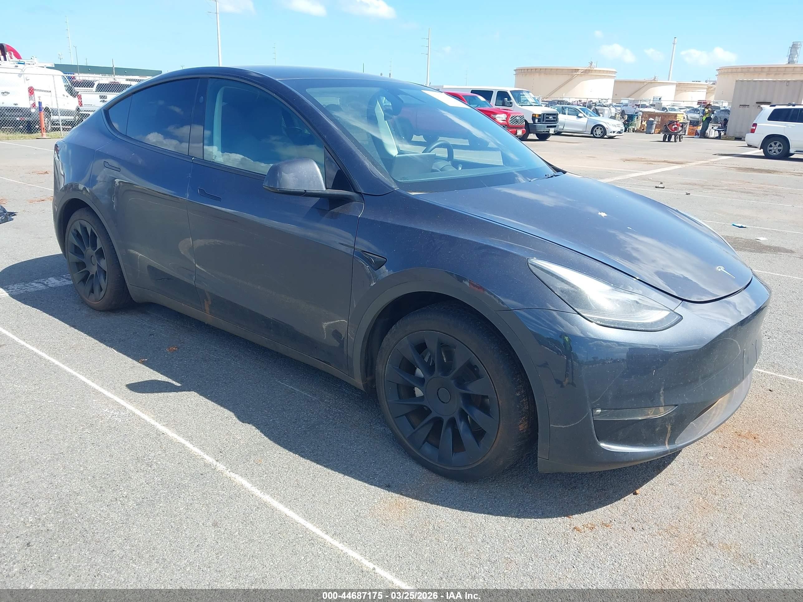 2024 Tesla Model Y Long Range, VIN 7SAYGAEE9RF118803 — Water / flood