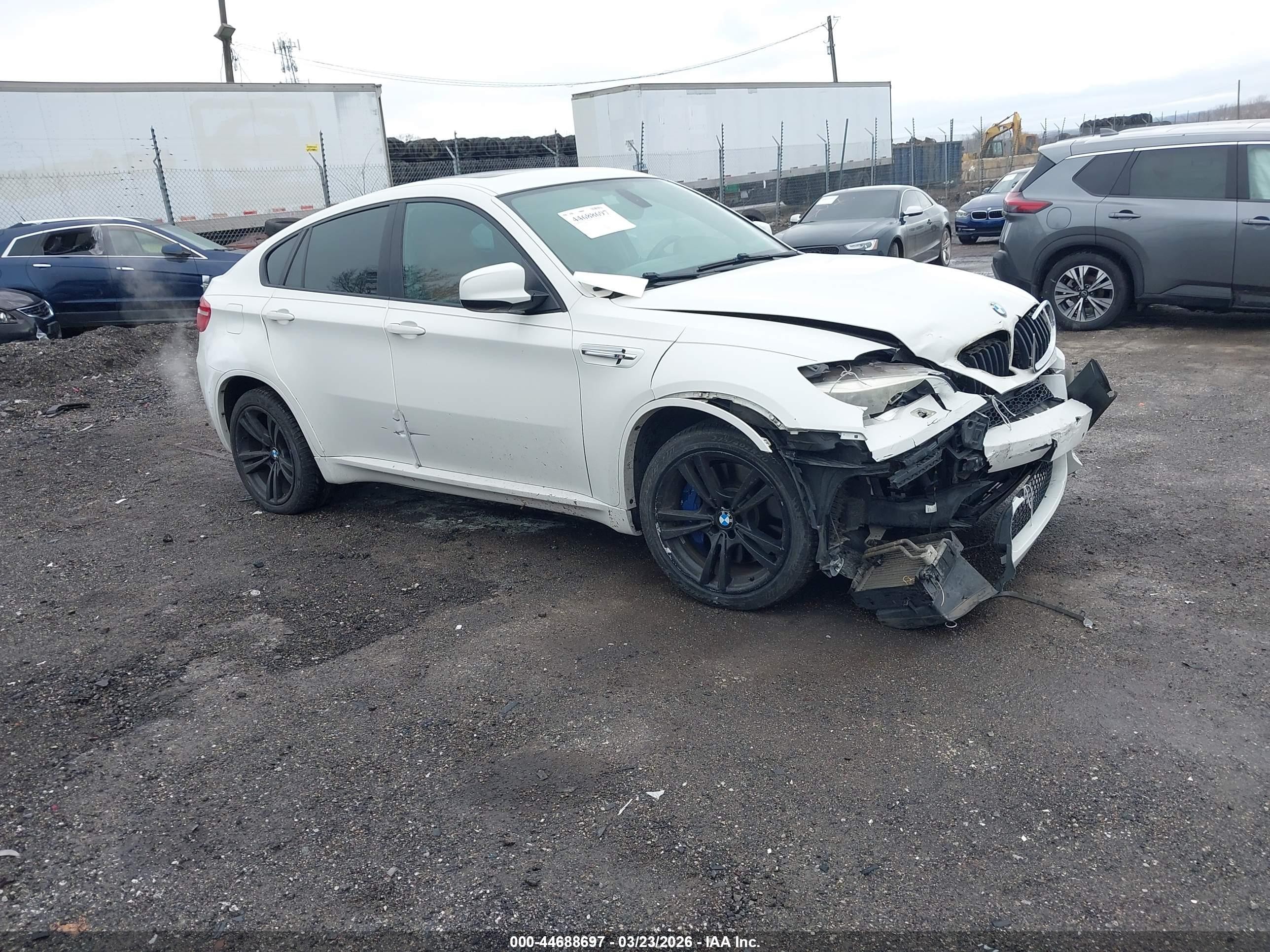 2013 BMW X6 M, VIN 5YMGZ0C55DLL29963 — Front end