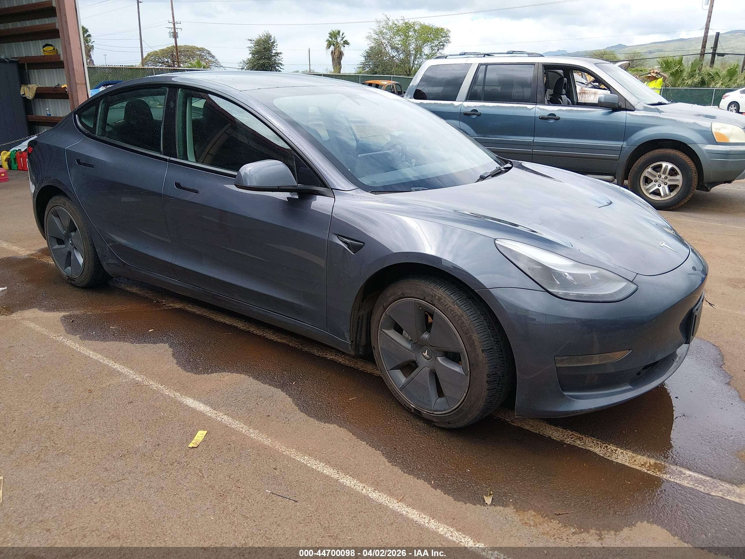 2023 Tesla Model 3, VIN 5YJ3E1EA3PF623985 — Water / flood