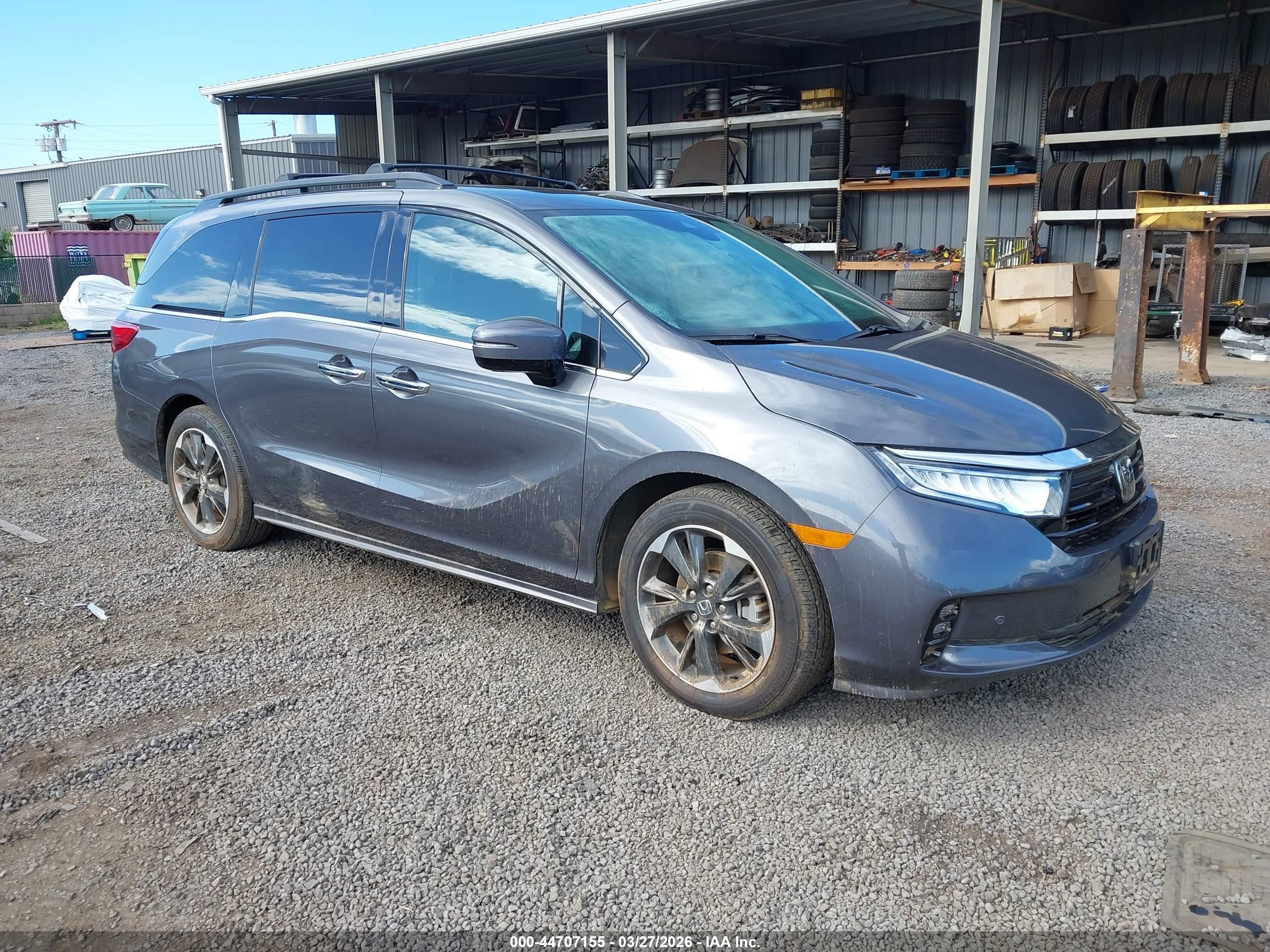 2023 Honda Odyssey Elite, VIN 5FNRL6H90PB032379 — Fresh water flood