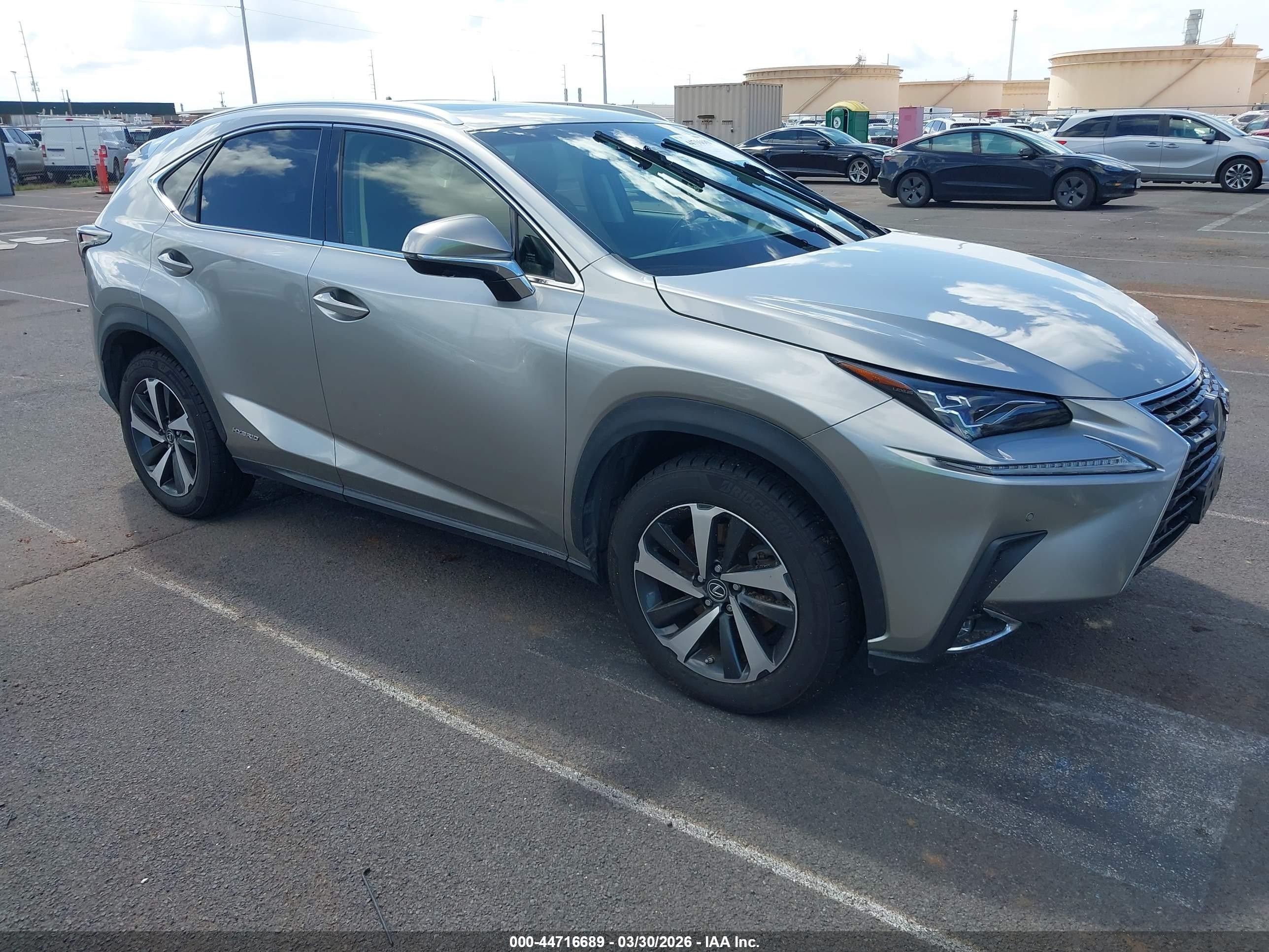 2019 Lexus NX 300h, VIN JTJBJRBZ1K2124675 — Water / flood