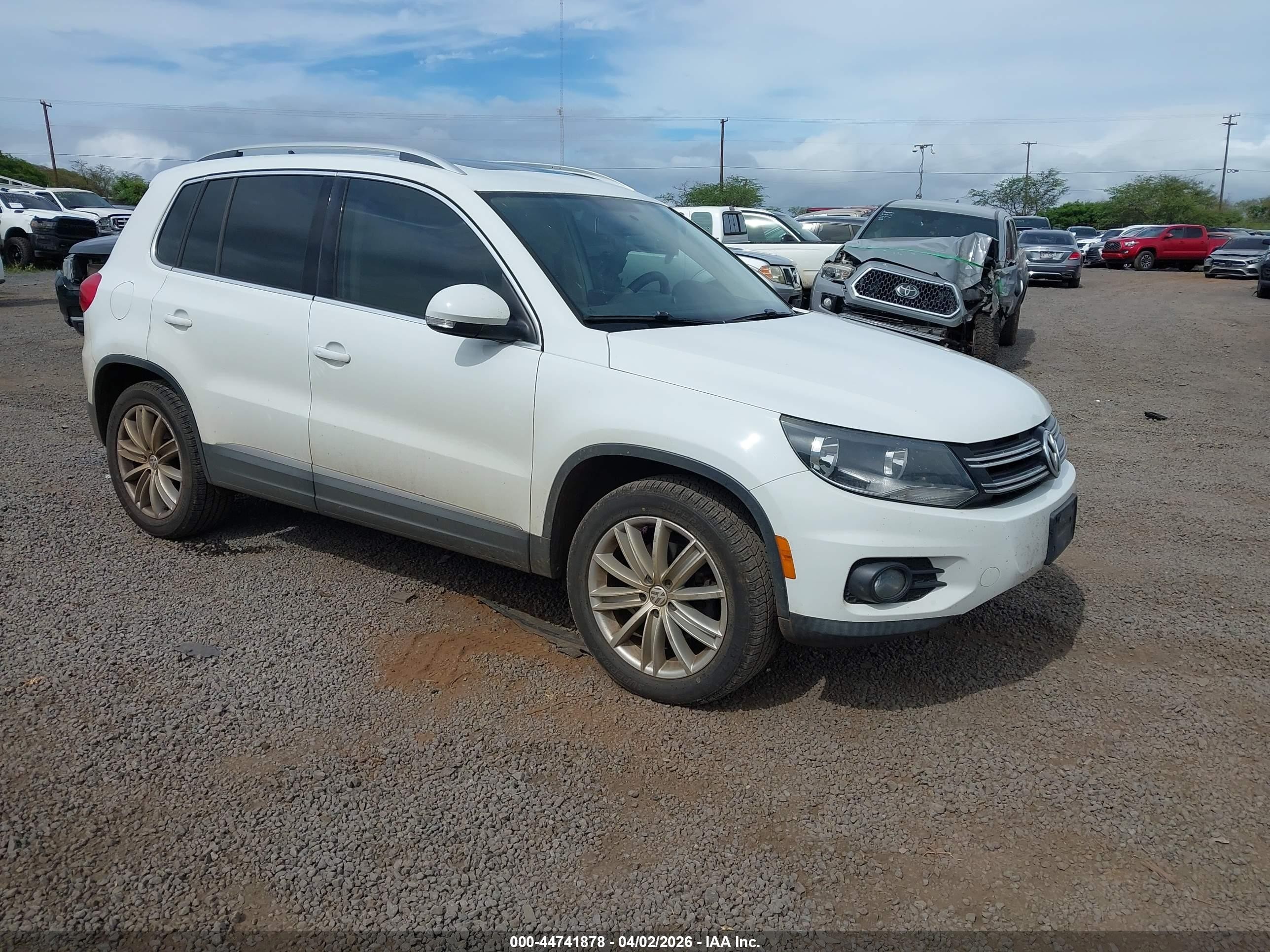 2015 Volkswagen Tiguan S, VIN WVGAV7AX2FW607352 — Fresh water flood