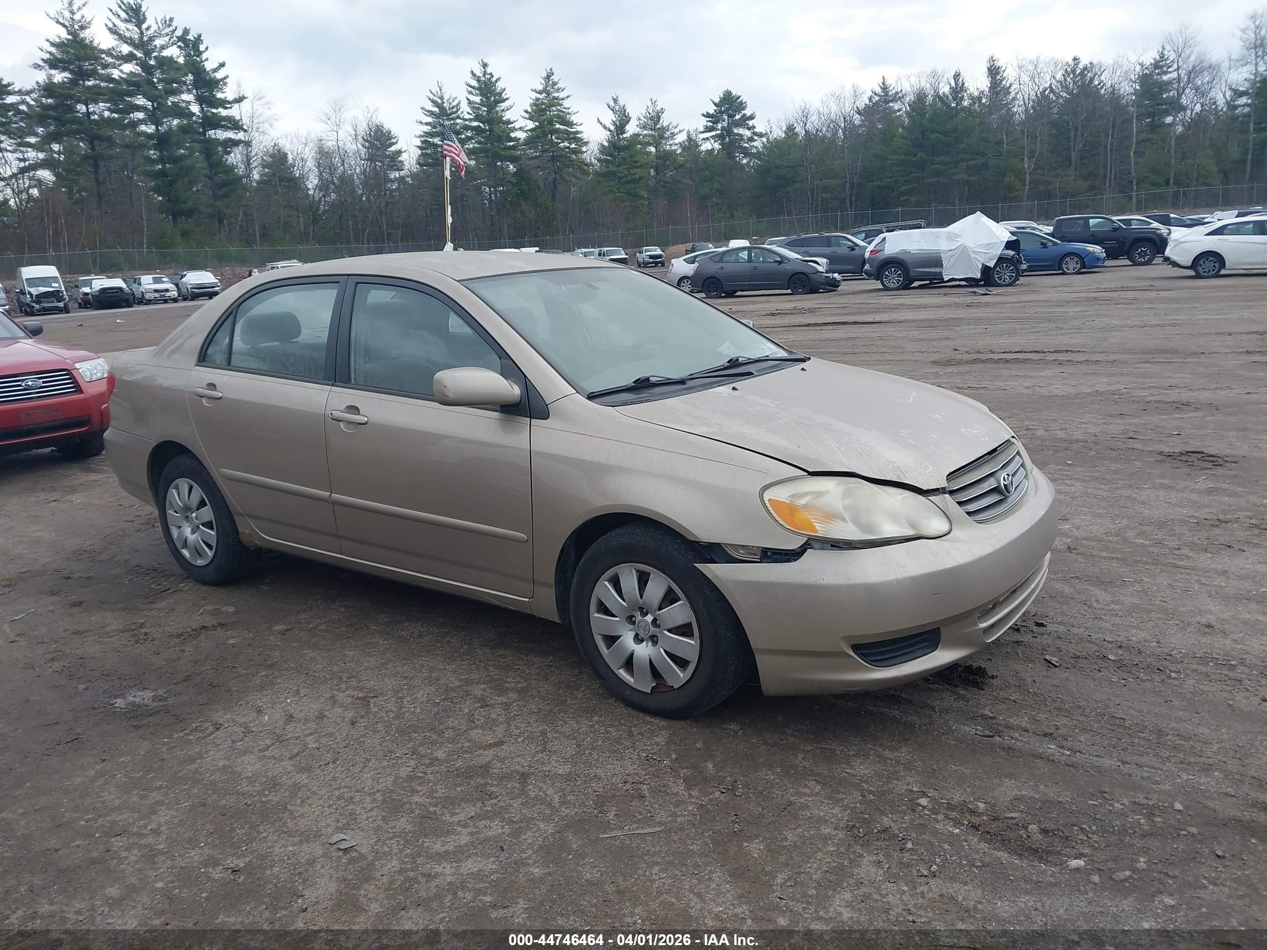 2004 Toyota Corolla LE, VIN 1NXBR38E74Z227213 — Front end