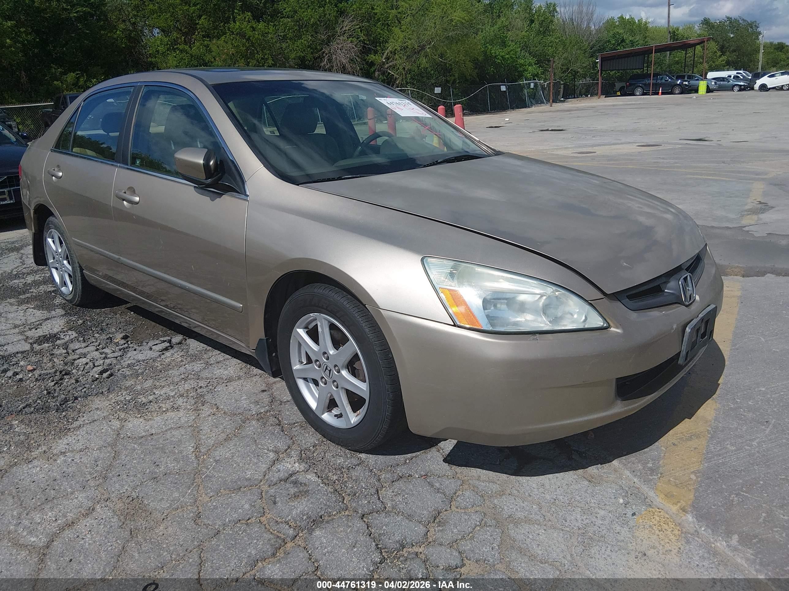 2003 Honda Accord EX, VIN 1HGCM66543A096206 — Rear end