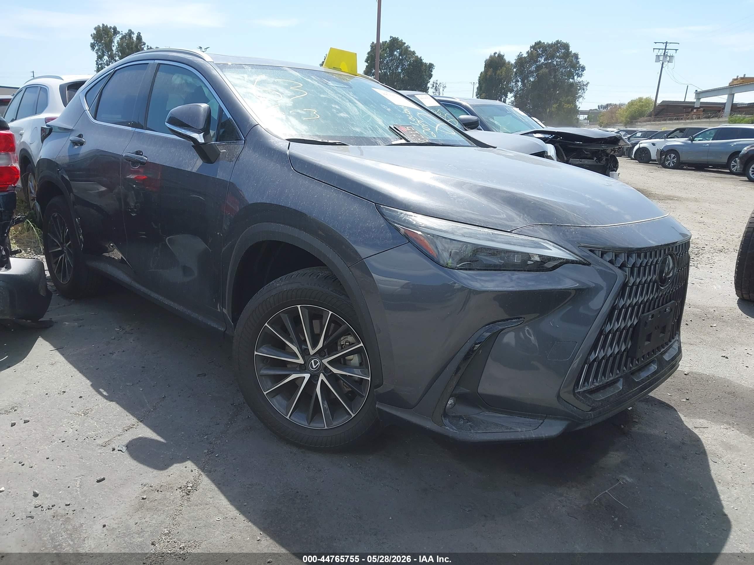 2024 Lexus NX 250, VIN 2T2ADCAZ9RC009947 — Фото с аукциона
