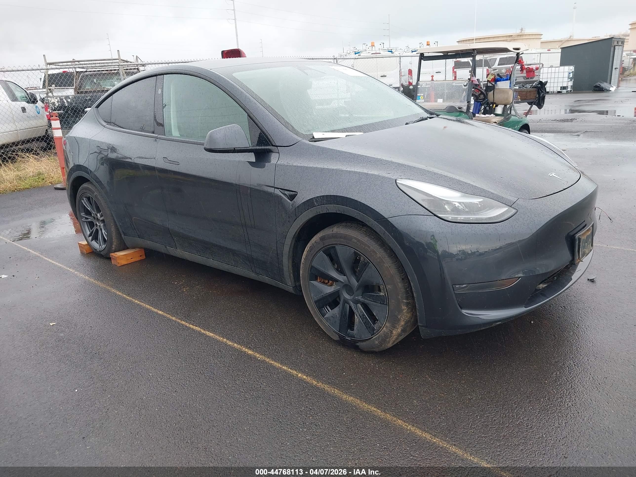 2025 Tesla Model Y Long Range, VIN 7SAYGDED7SF313345 — Water / flood