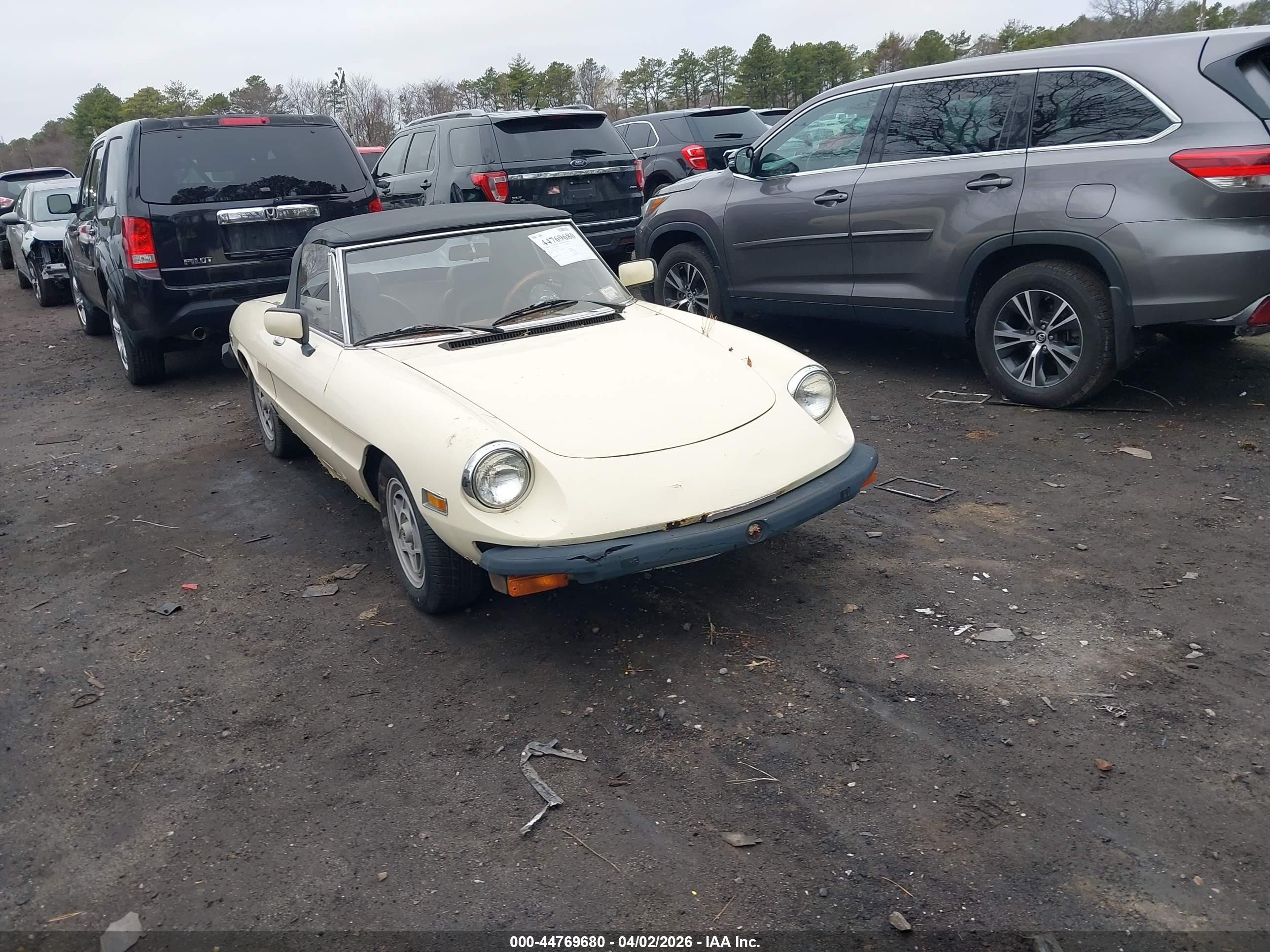 1982 Alfa Romeo Spider Veloce, VIN ZARBA5413C1014369 — Normal wear