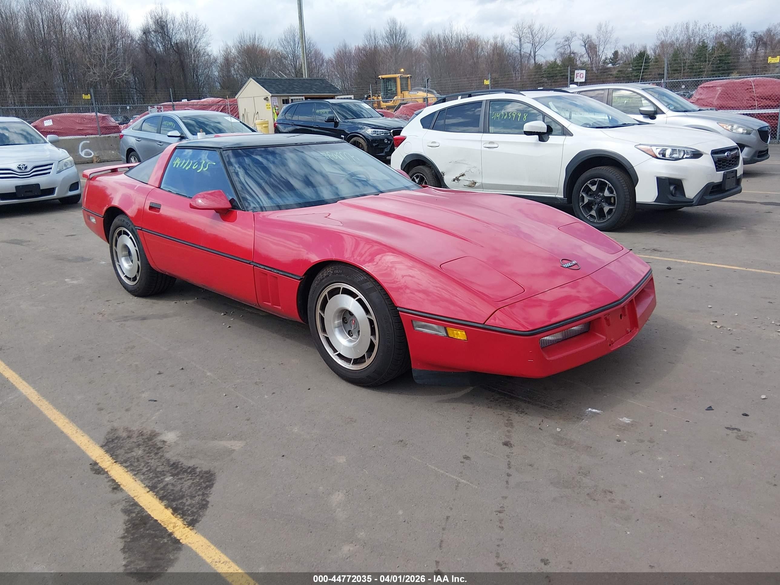 1987 Chevrolet Corvette, VIN 1G1YY218XH5127373 — Front end