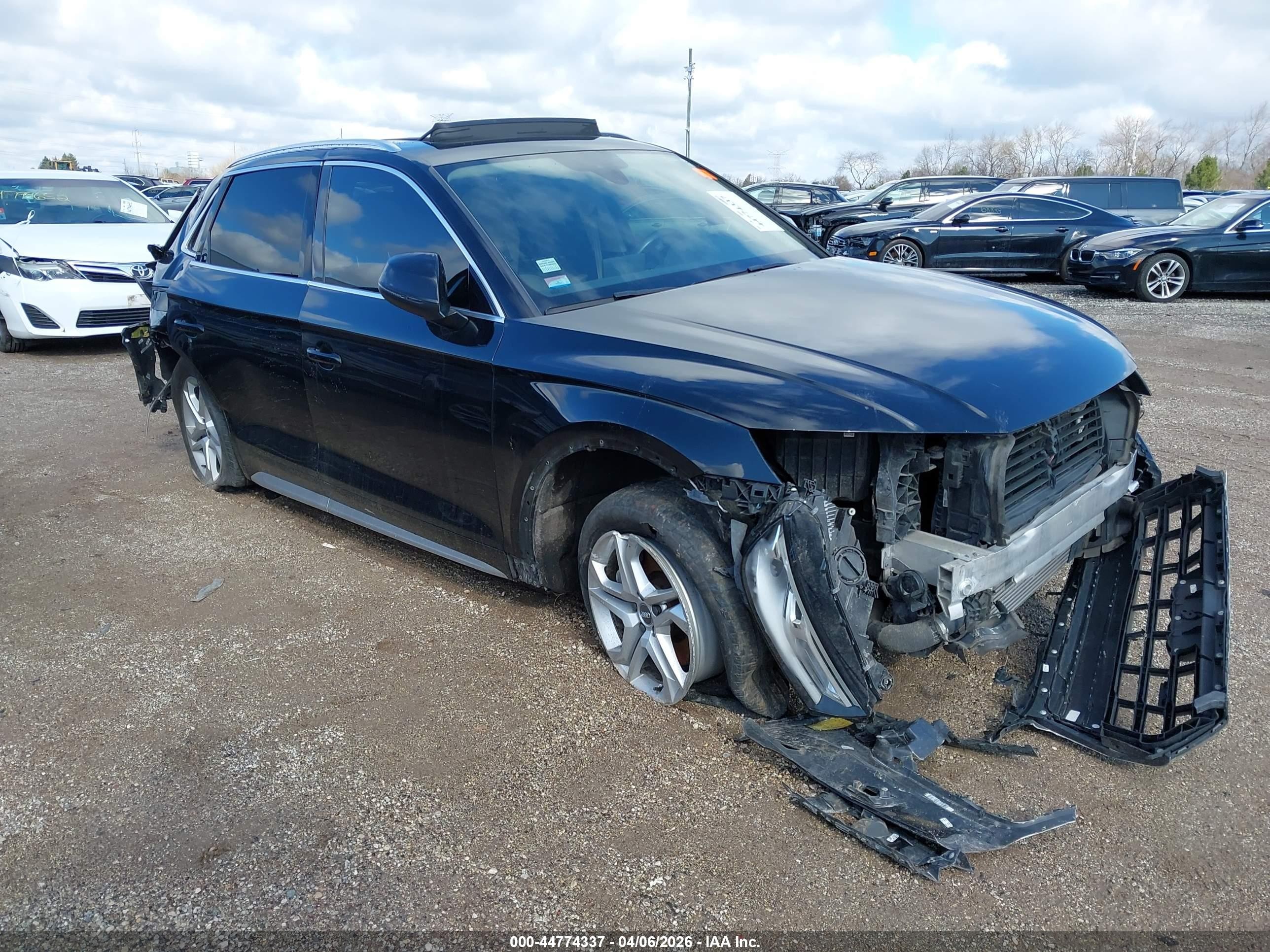 2019 Audi Q5 Premium, VIN WA1ANAFY8K2031314 — Biohazard / chemical