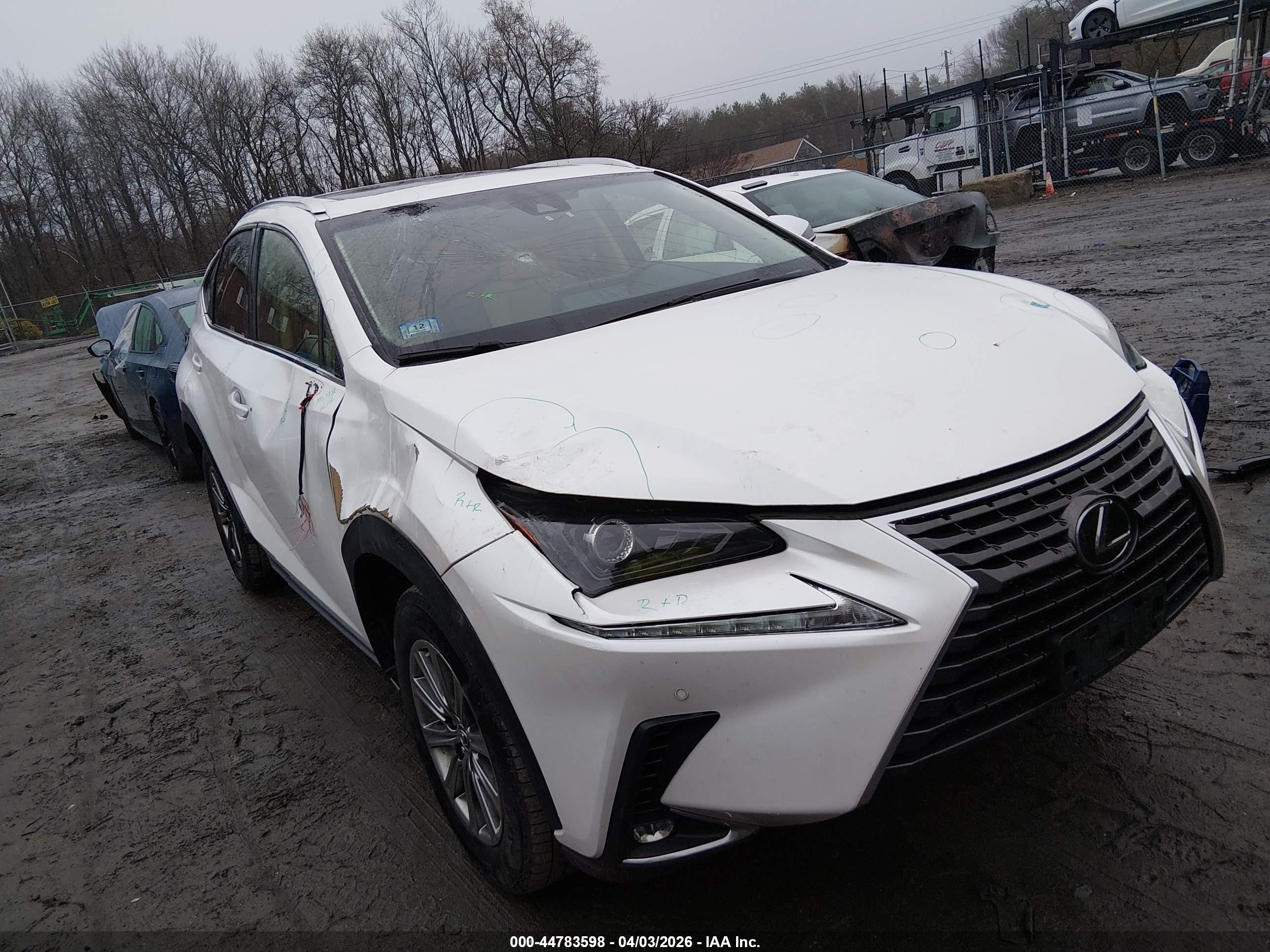 2019 Lexus NX 300, VIN JTJBARBZ2K2210335 — Стихия