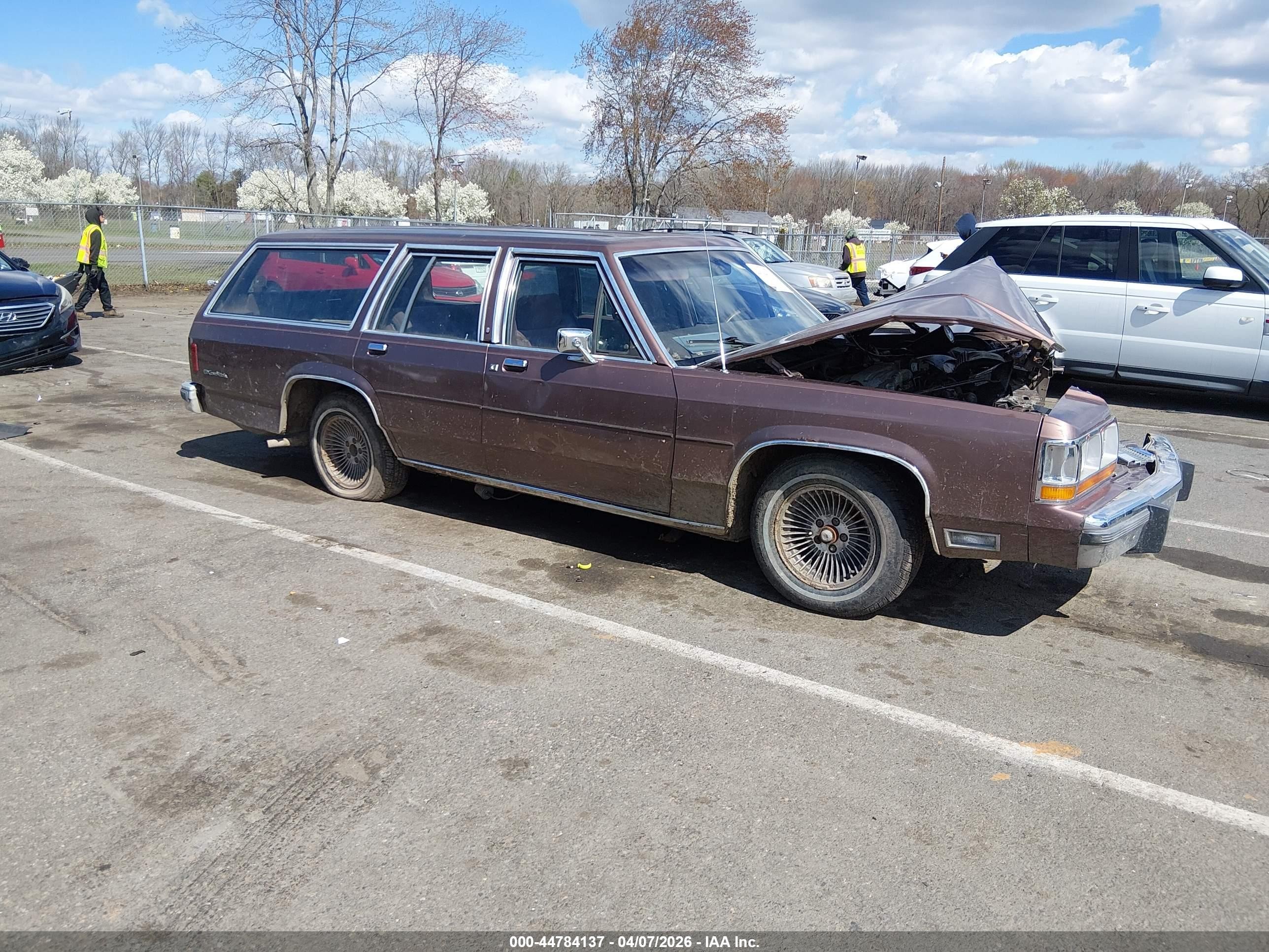 1989 Ford Crown Victoria, VIN 2FABP77FXKX166785 — Front end