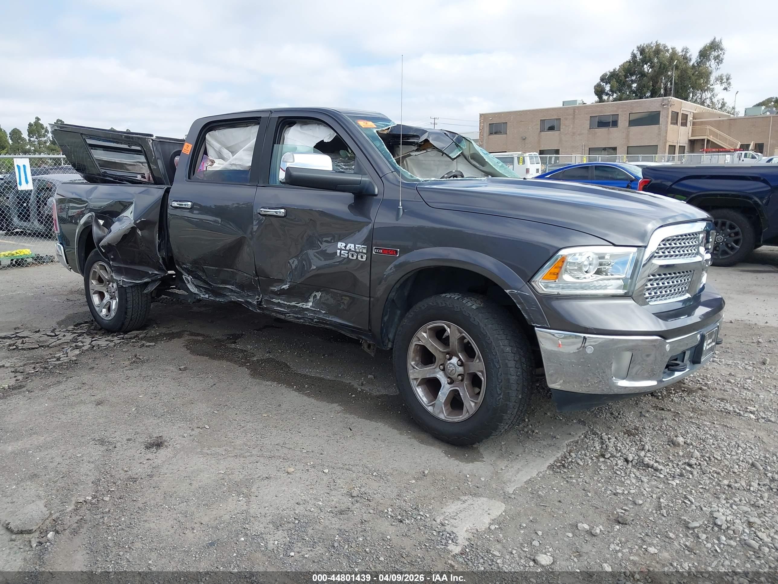 2016 Ram 1500 Laramie, VIN 1C6RR7VM0GS380366 — Биологическое загрязнение