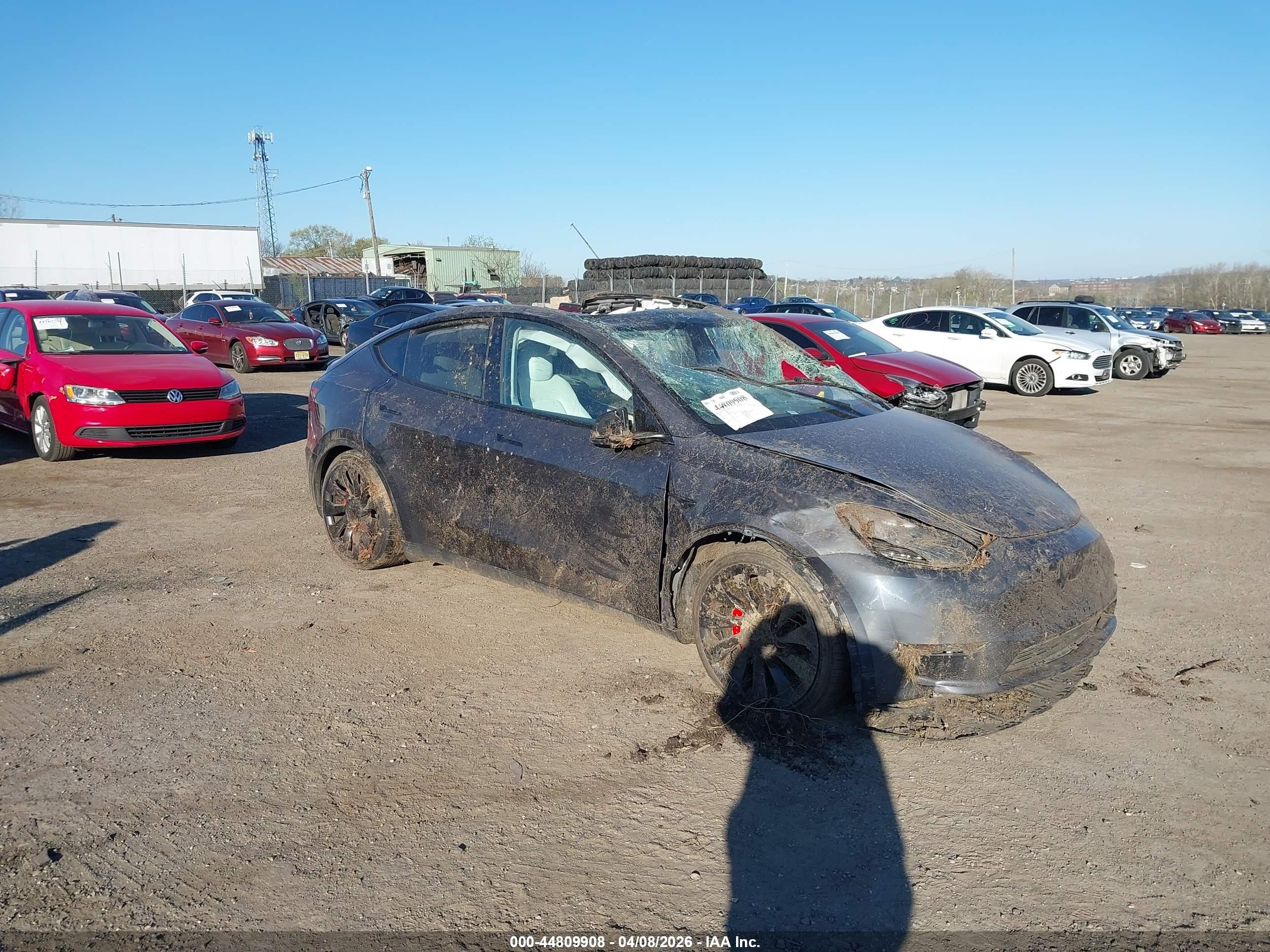 2023 Tesla Model Y Performance, VIN 7SAYGDEF3PF911490 — Roof