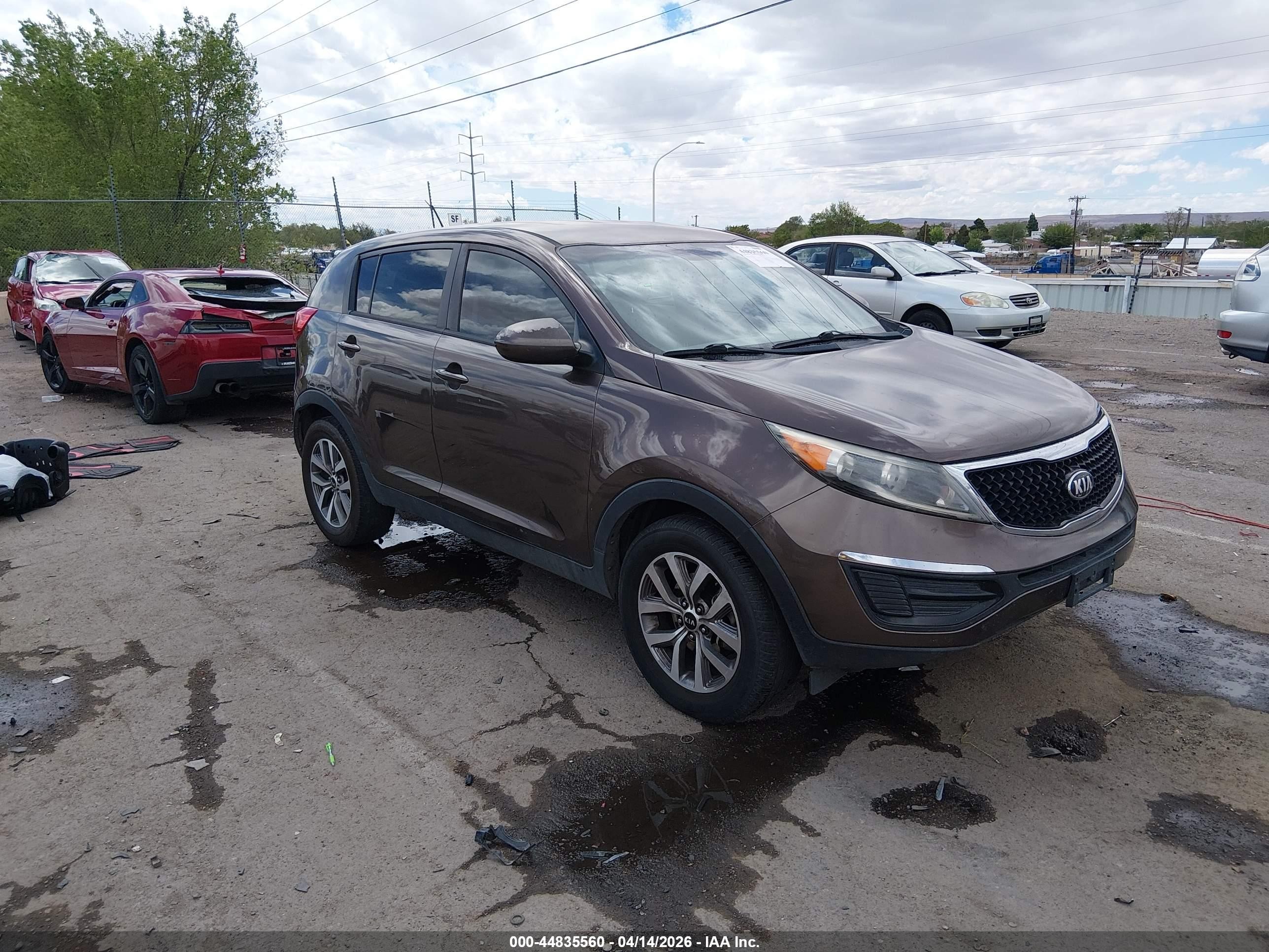 2014 Kia Sportage LX, VIN KNDPB3AC8E7606616 — Rear end