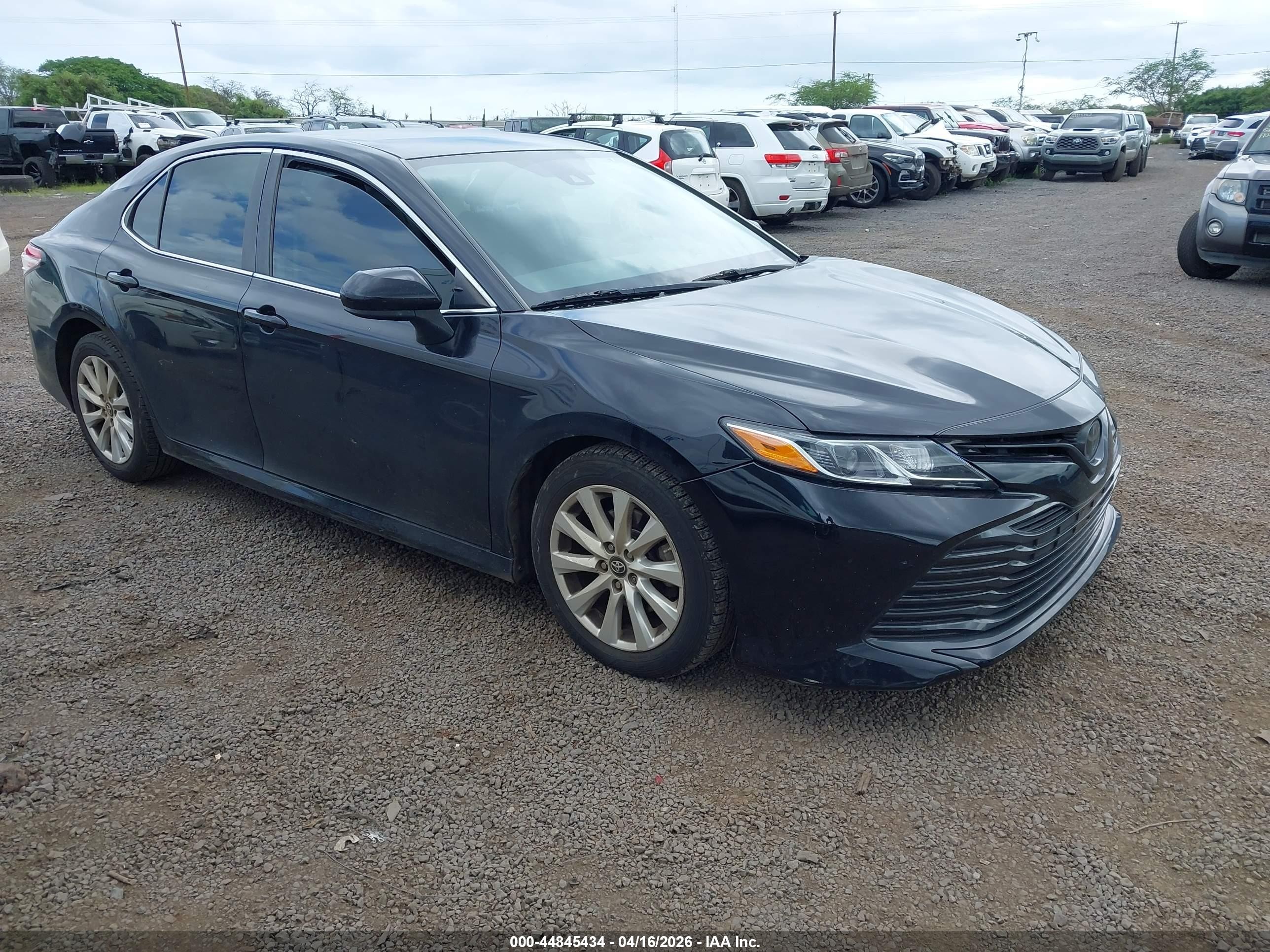 2019 Toyota Camry XLE, VIN 4T1B11HK4KU843336 — Fresh water flood