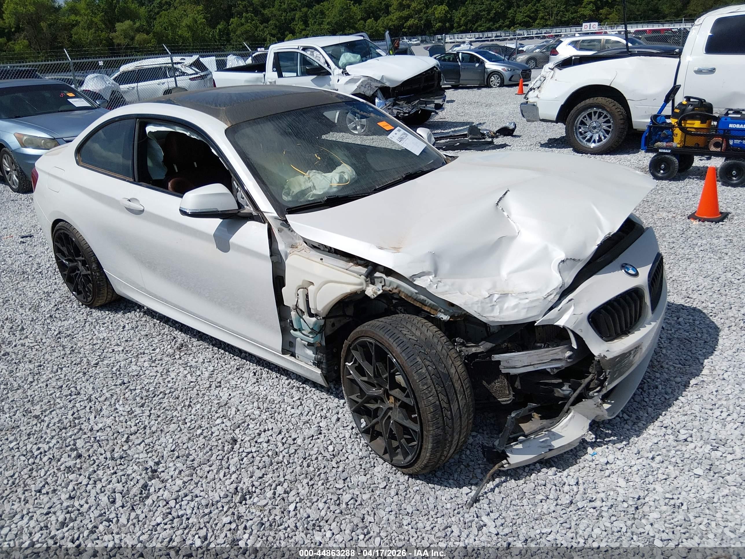 2015 BMW 2 Series 228i, VIN WBA1F9C50FVW98536 — Front end