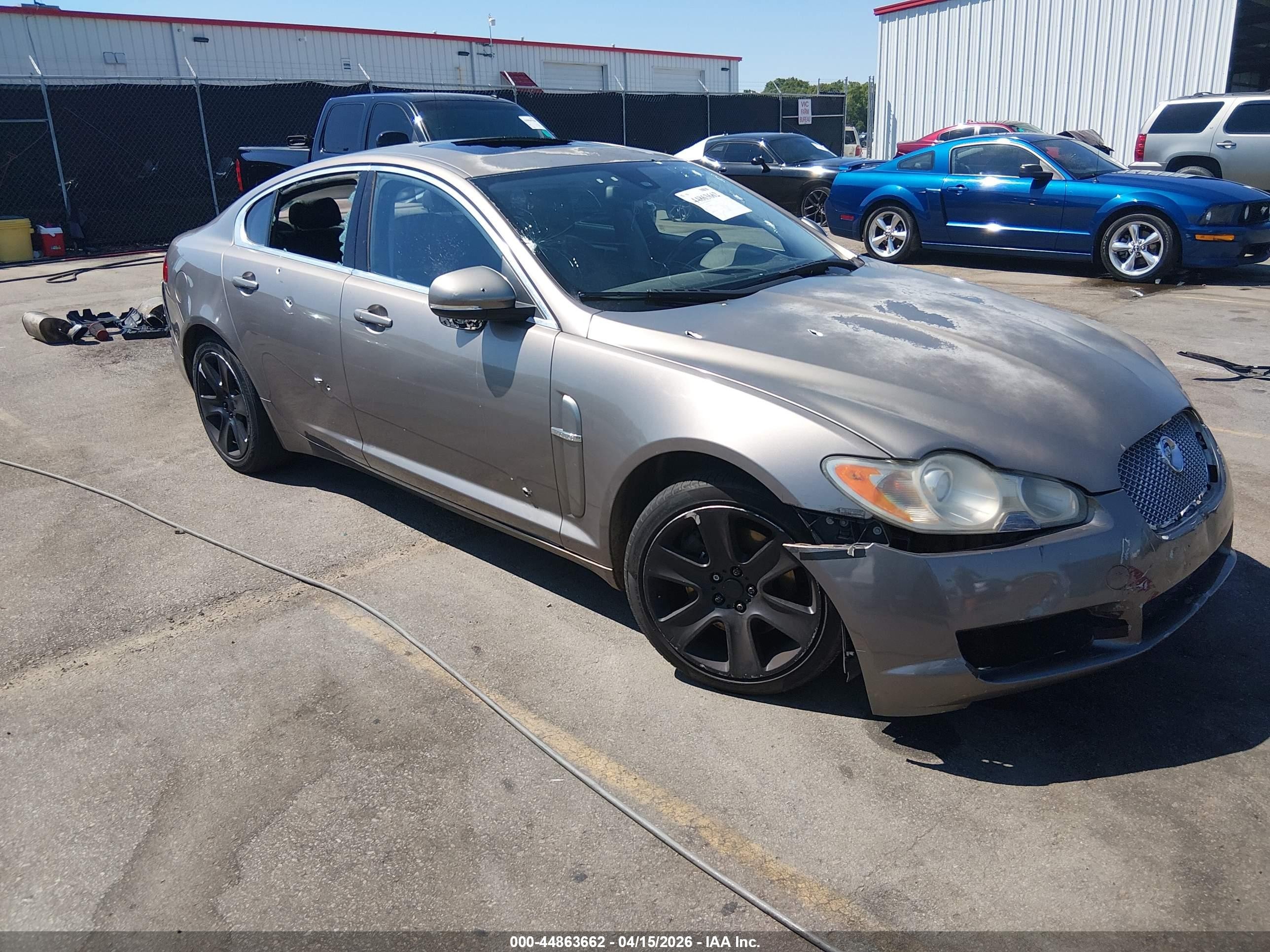 2010 Jaguar XF Luxury, VIN SAJWA0FA5AHR65819 — Front end