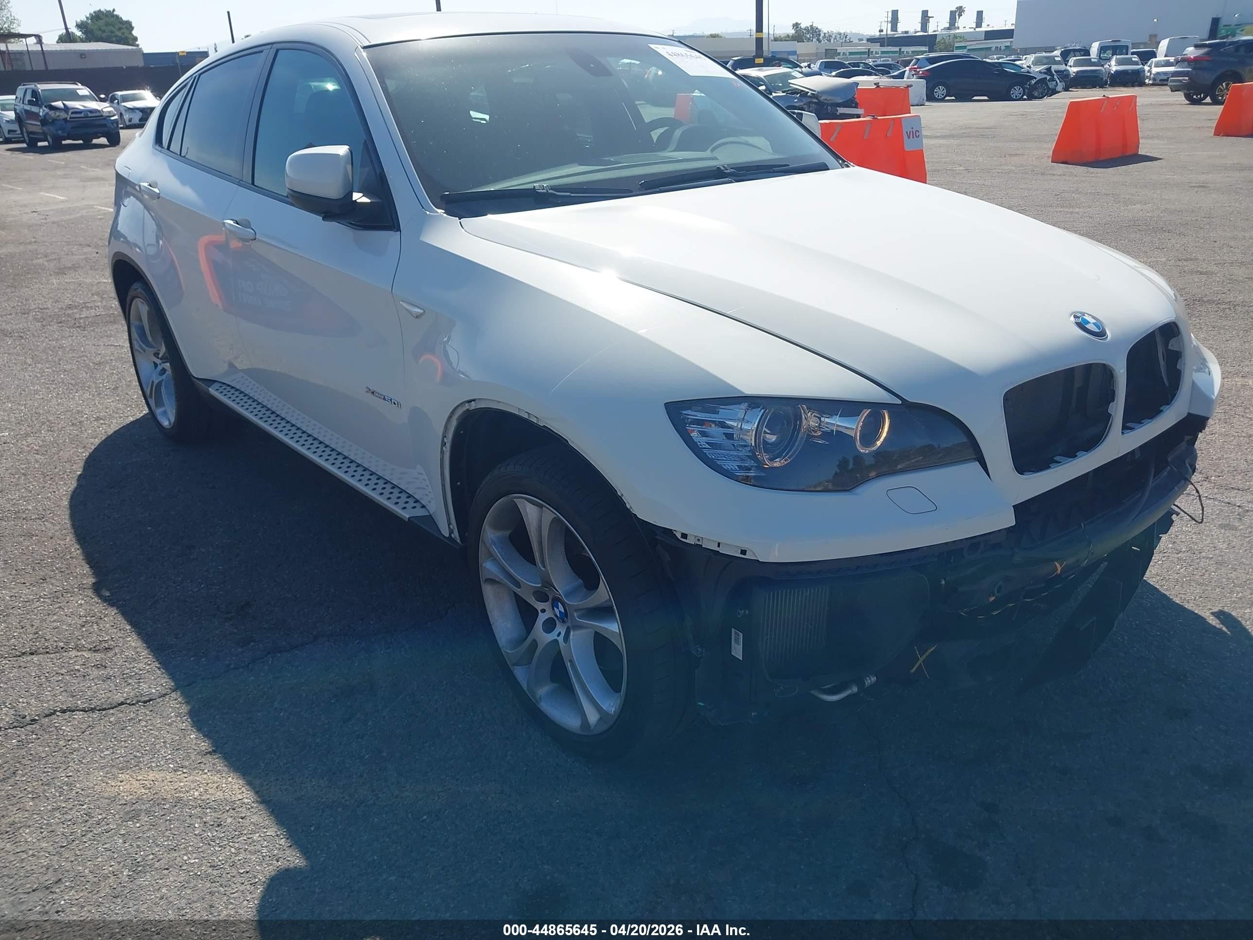 2010 BMW X6 50i, VIN 5UXFG8C50ALZ94885 — Front end