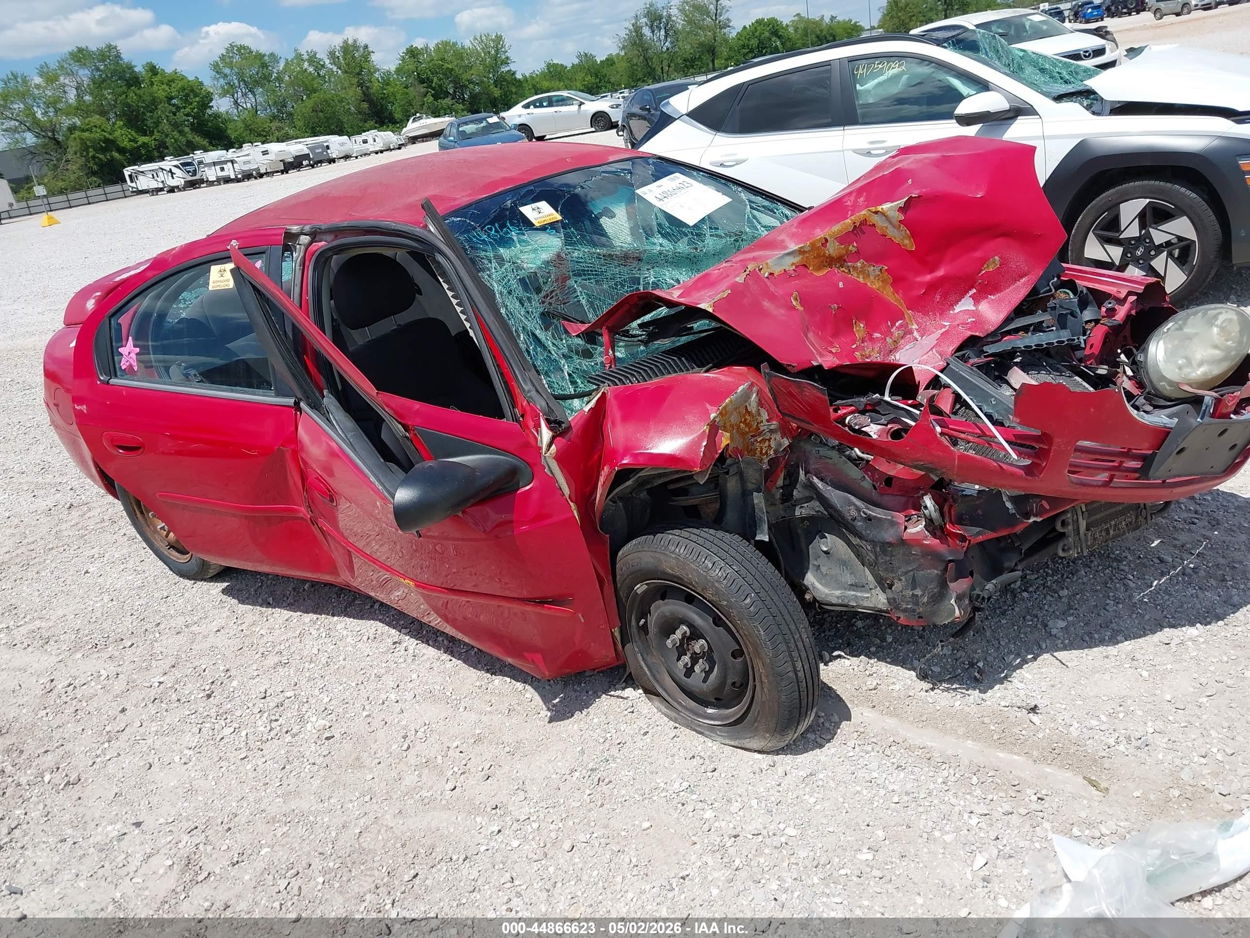 2003 Dodge Neon SE, VIN 1B3ES26C33D240039 — Биологическое загрязнение