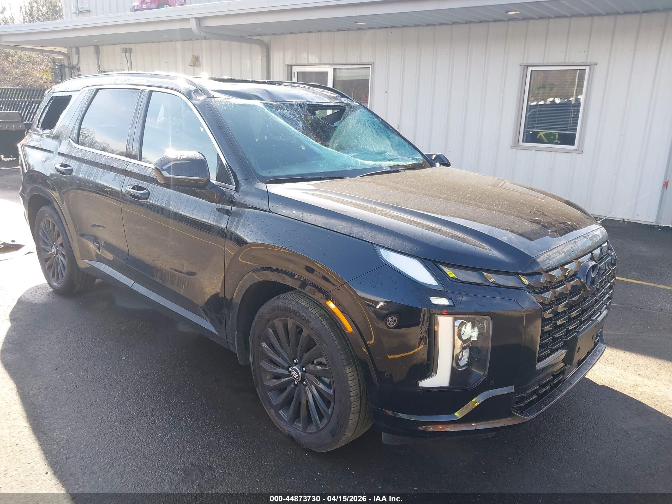 2025 Hyundai Palisade Calligraphy, VIN KM8R7DGE8SU919182 — Крыша