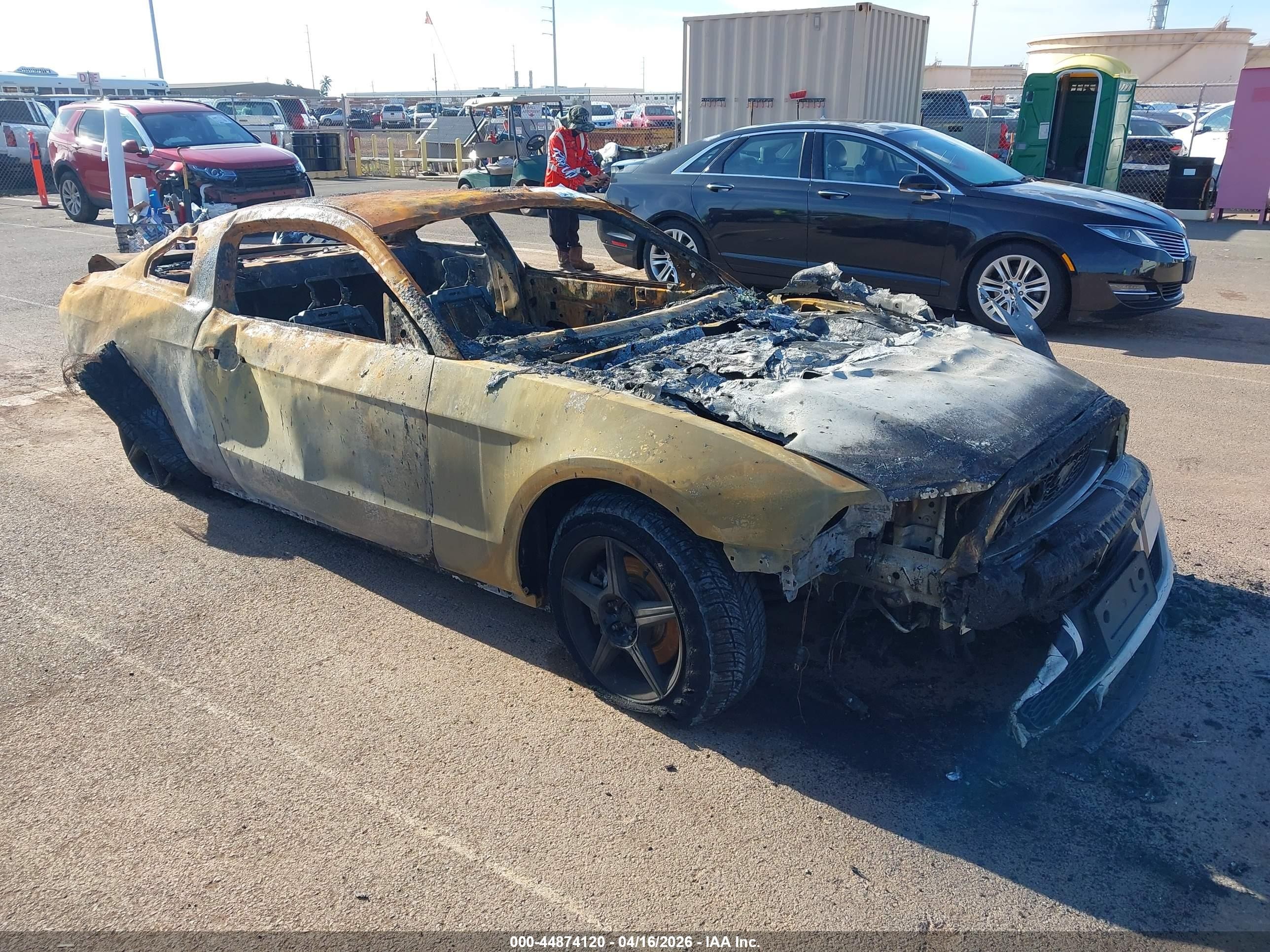 2014 Ford Mustang Premium, VIN 1ZVBP8AM9E5275491 — Burn