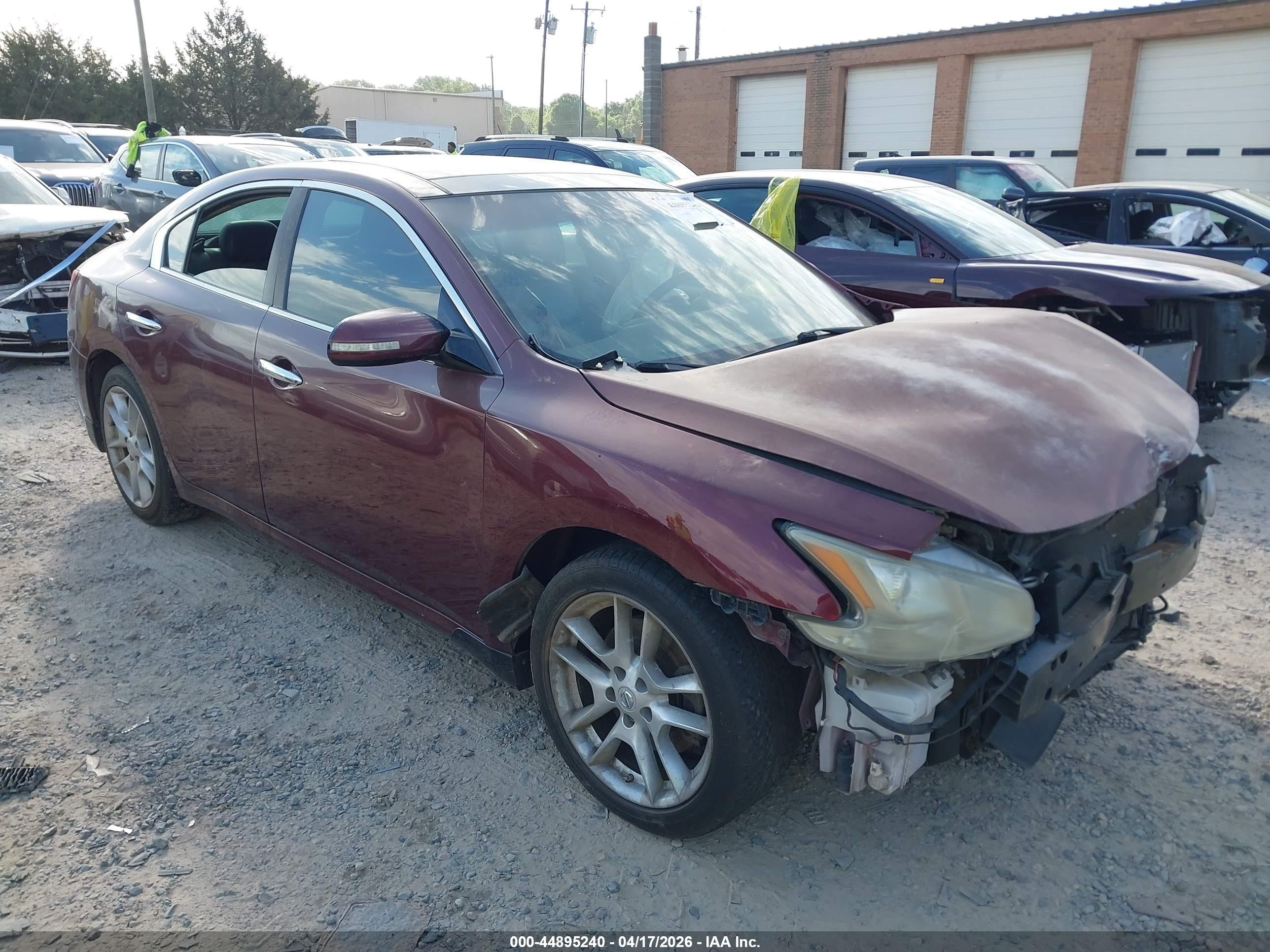 2010 Nissan Maxima SV, VIN 1N4AA5AP6AC804545 — Front end