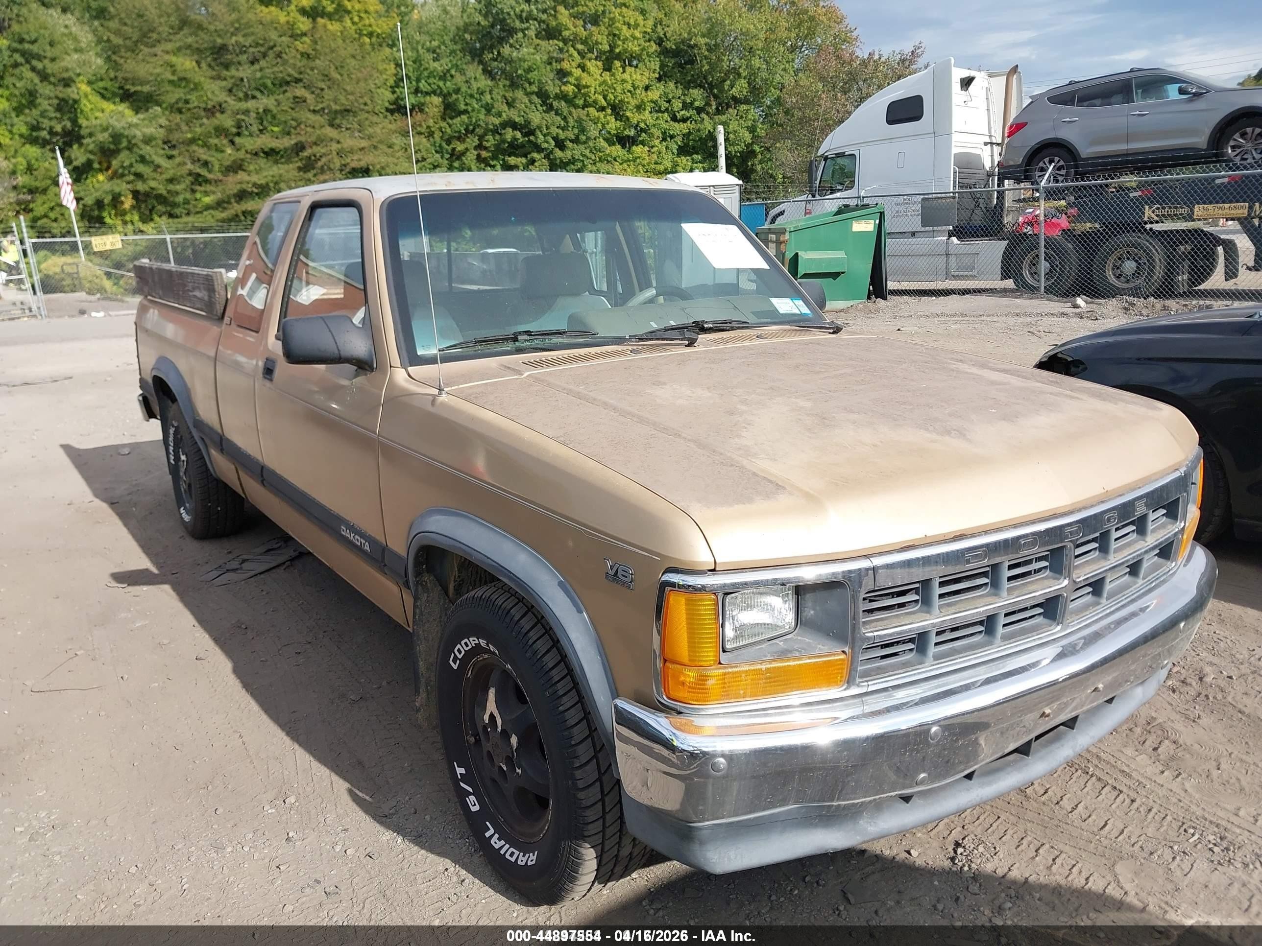 1991 Dodge Dakota, VIN 1B7FL23XXMS306042 — Side