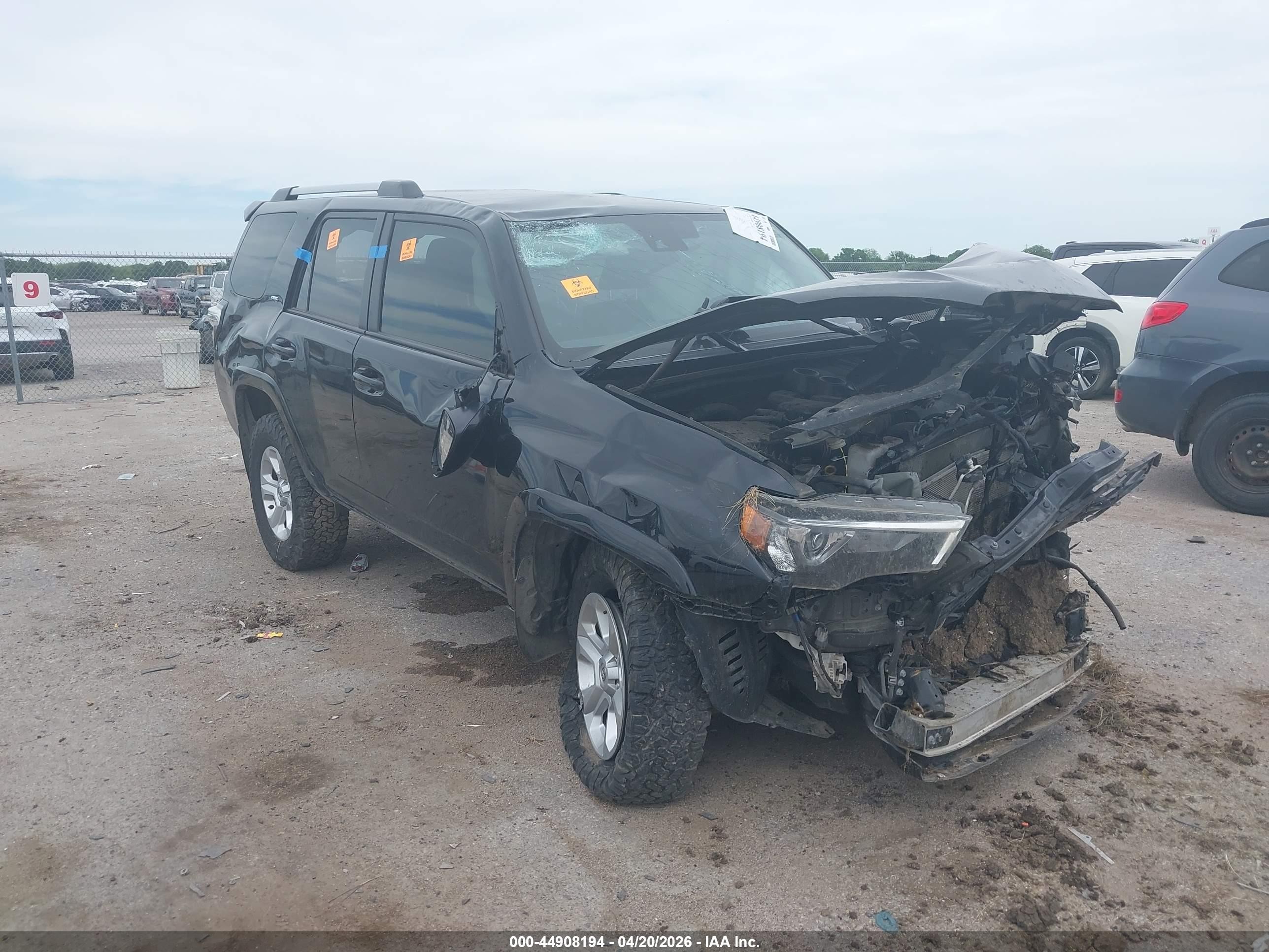 2023 Toyota 4Runner SR5, VIN JTEMU5JR9P6106997 — Биологическое загрязнение