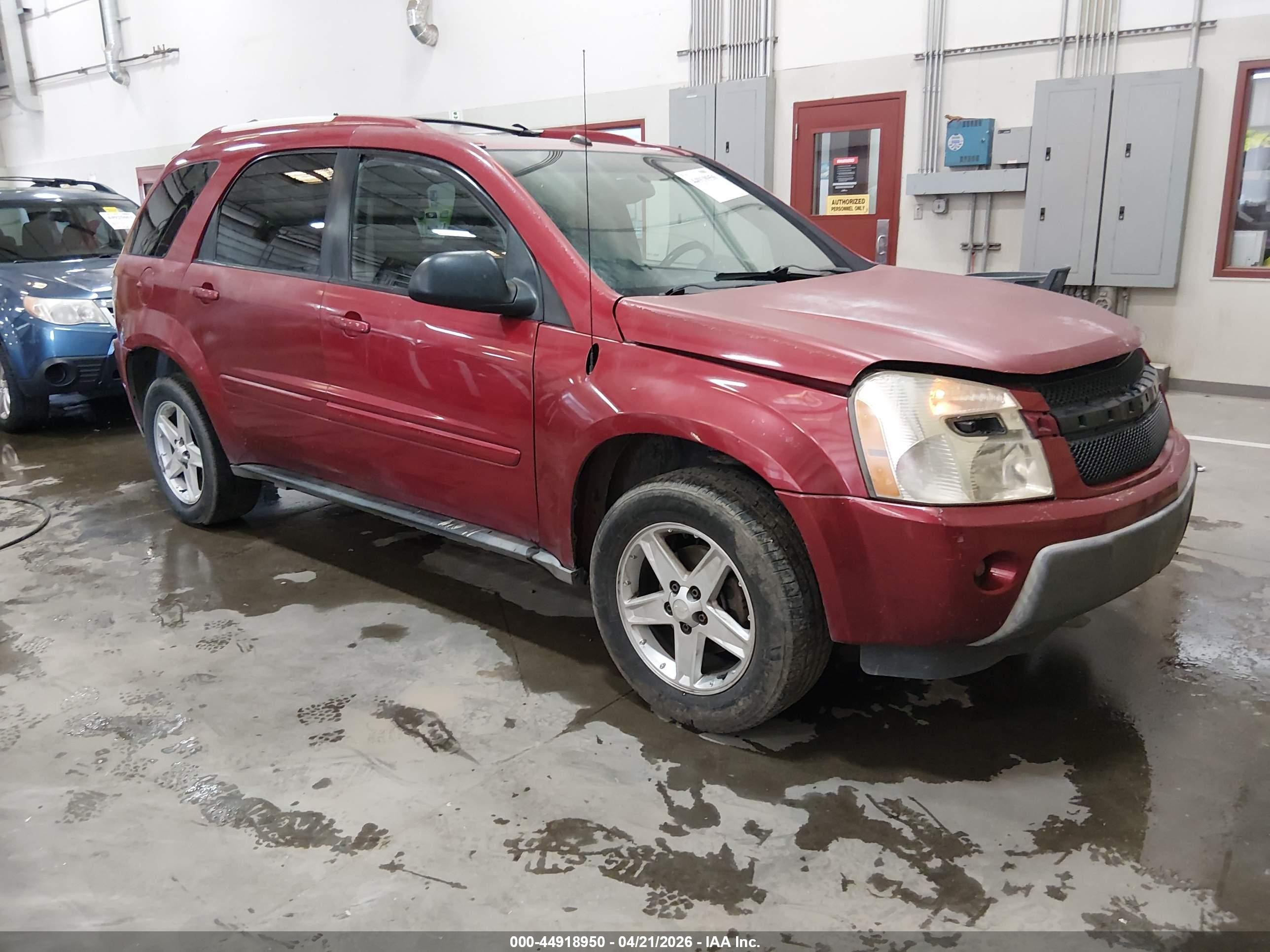 2005 Chevrolet Equinox LT, VIN 2CNDL63F056088585 — Rear end