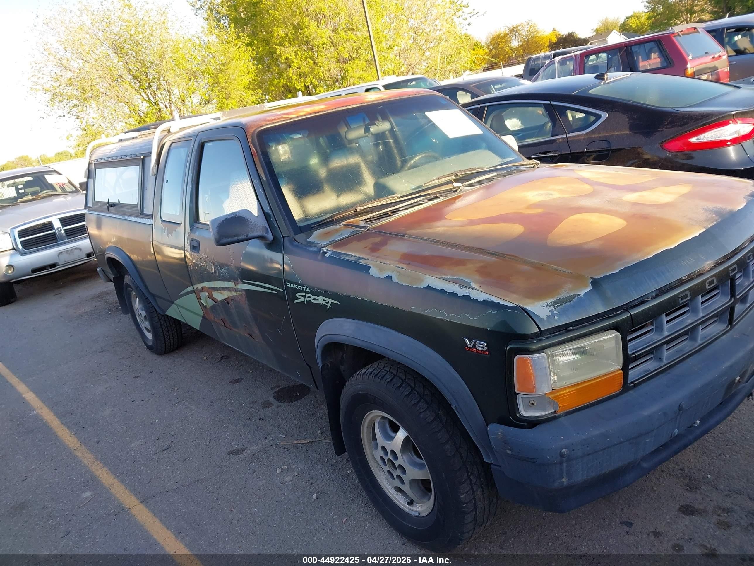 1996 Dodge Dakota, VIN 1B7GG23Y8TS603617 — Обычный износ