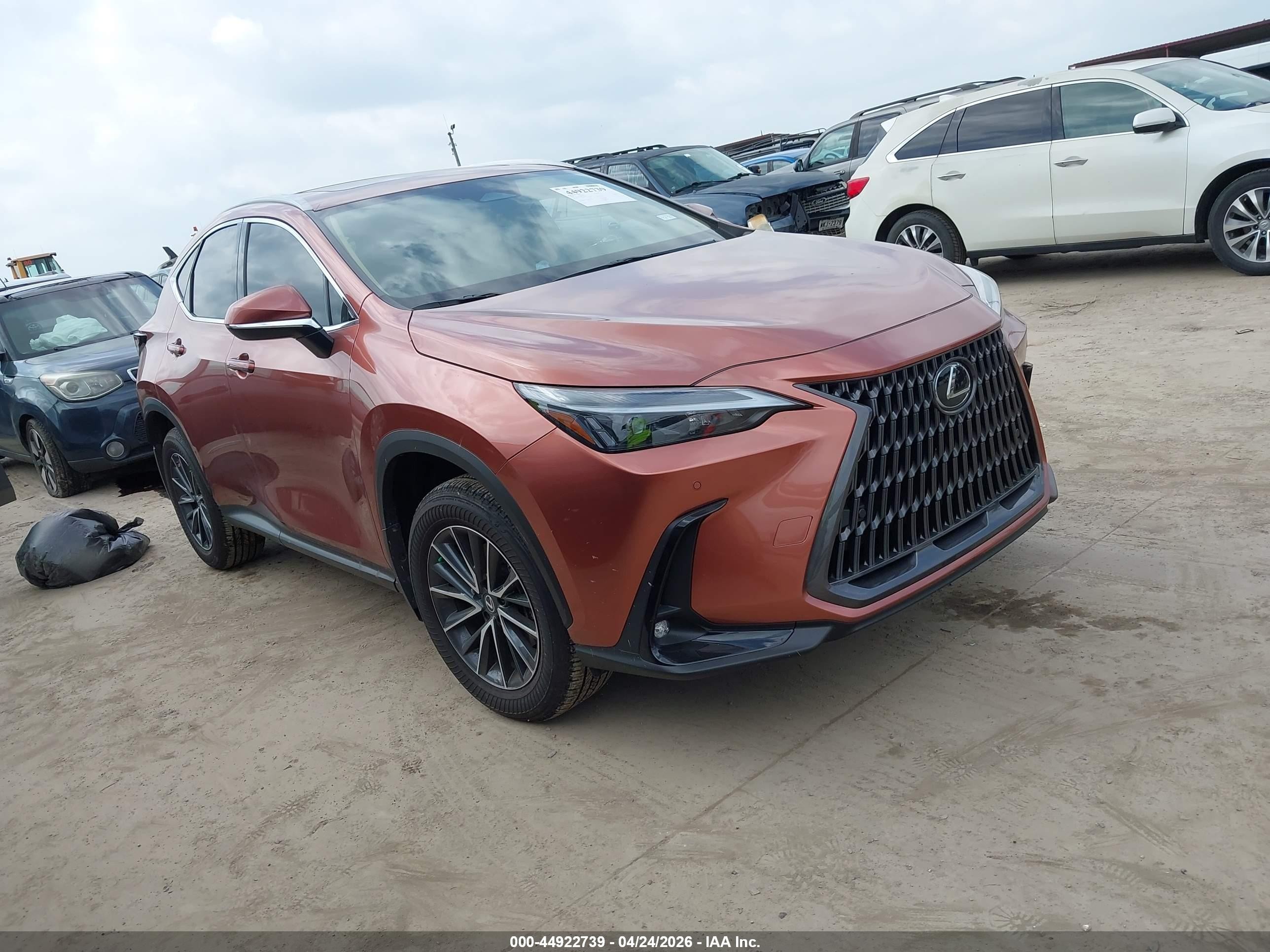 2026 Lexus NX 350 Premium, VIN 2T2GGCEZ6TC108079 — Зад