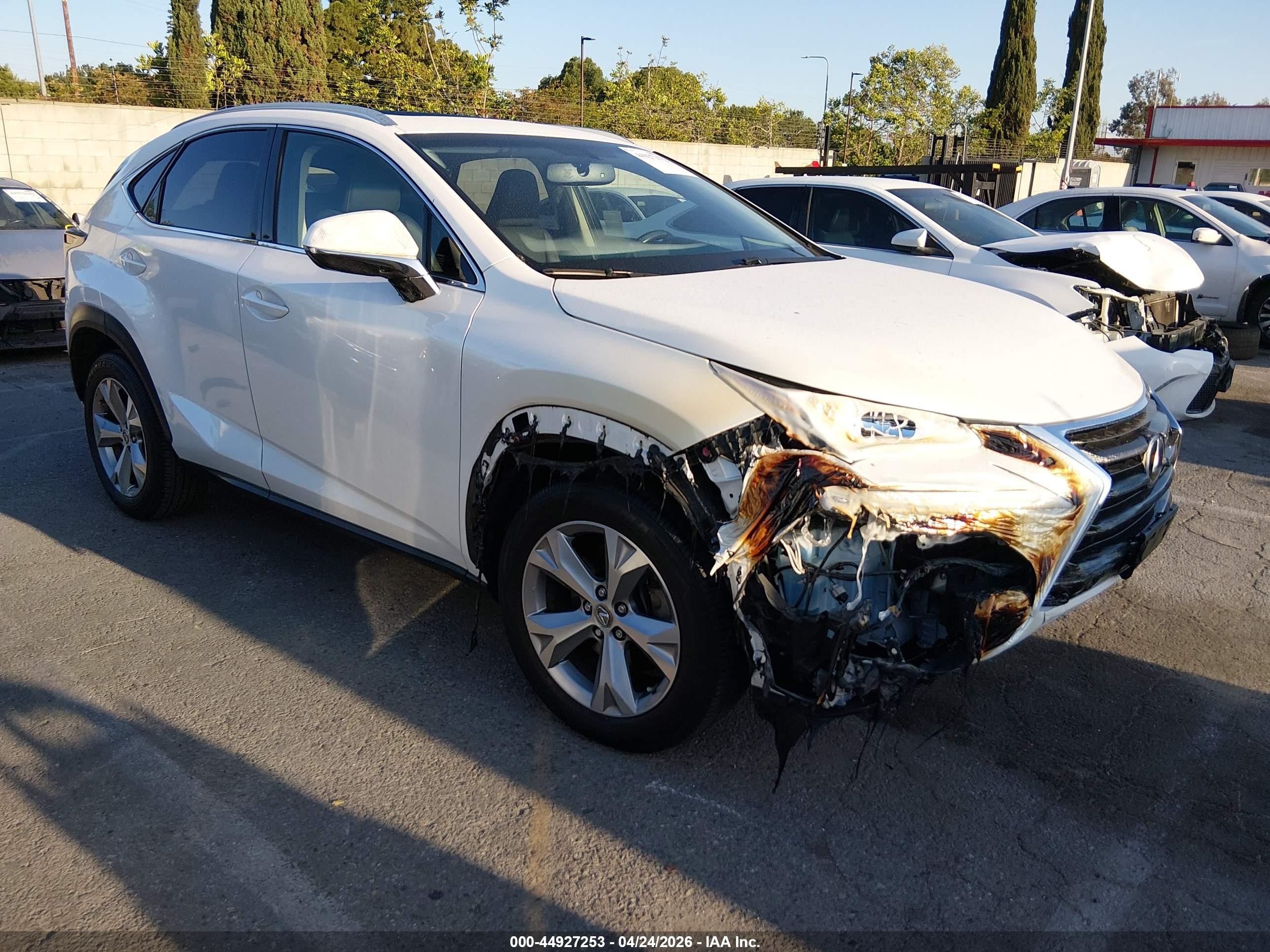 2017 Lexus NX 200t, VIN JTJYARBZ8H2079012 — Burn