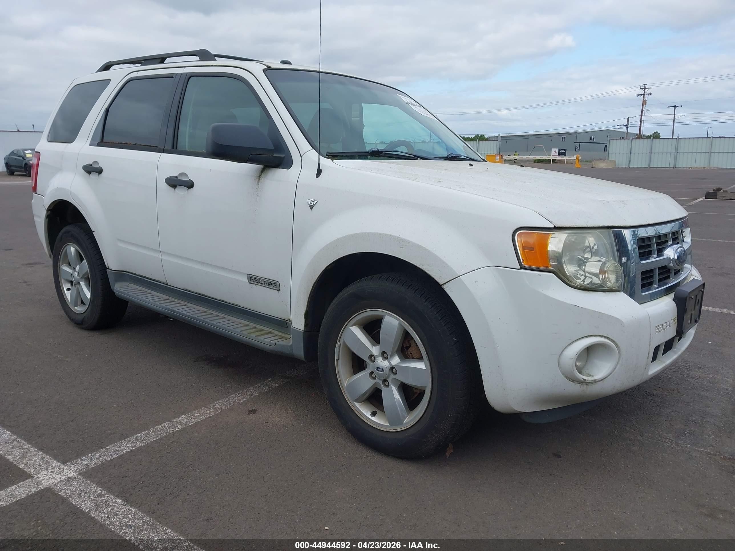 2008 Ford Escape XLT, VIN 1FMCU93158KE83362 — Биологическое загрязнение