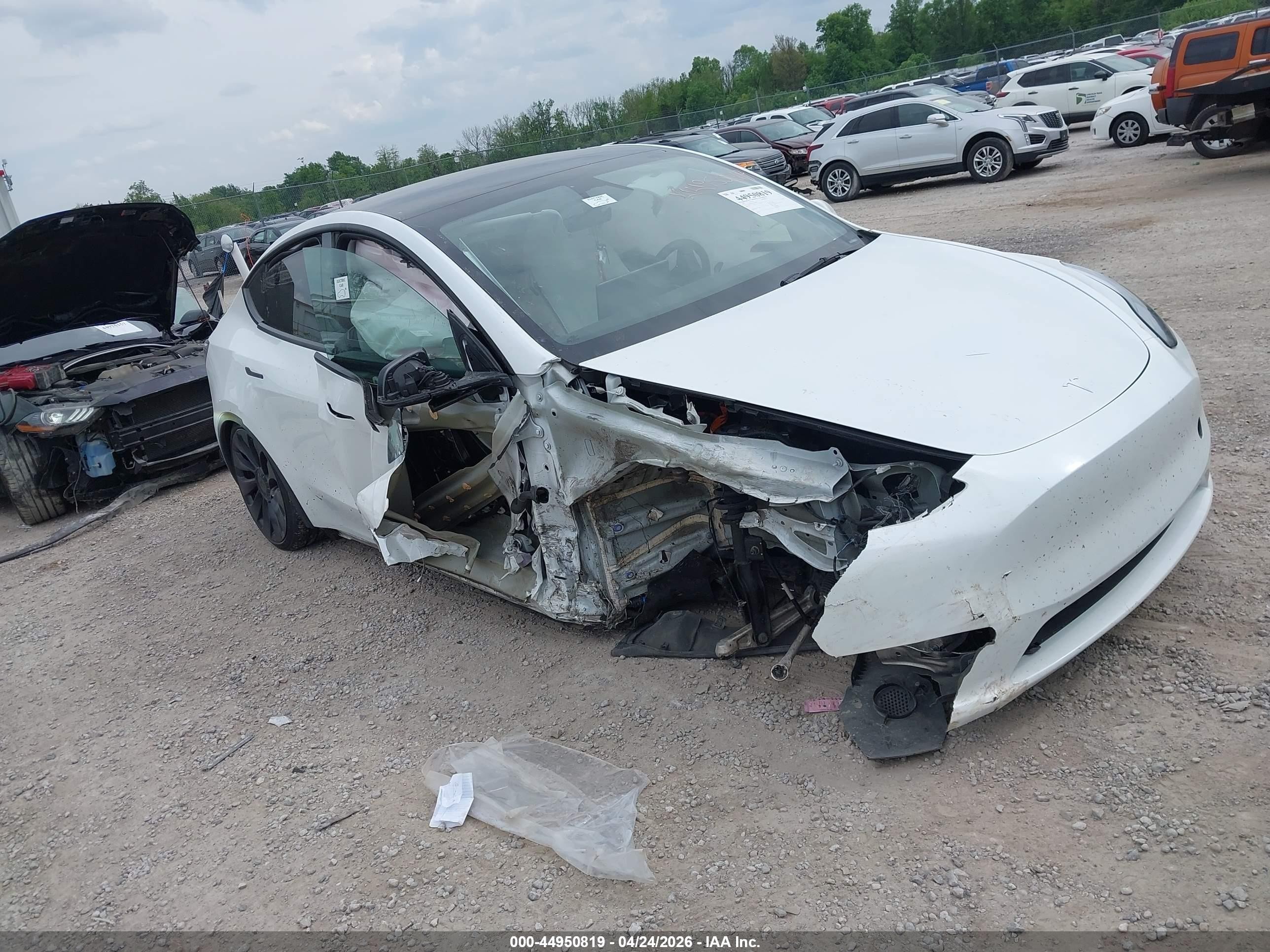 2025 Tesla Model Y Performance, VIN 7SAYGDEF7SA339958 — Side