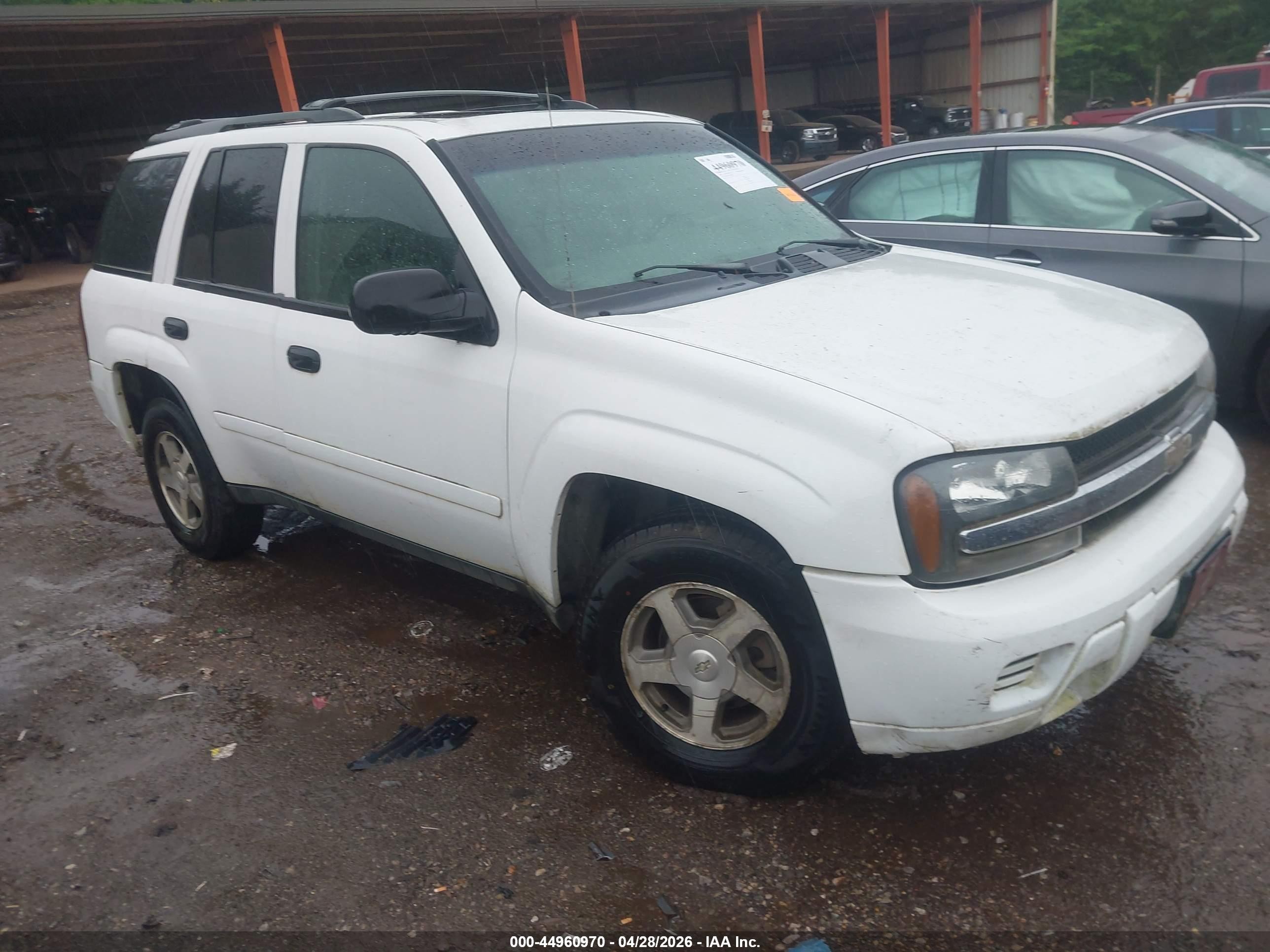 2006 Chevrolet TrailBlazer LT, VIN 1GNDS13SX62305010 — Normal wear