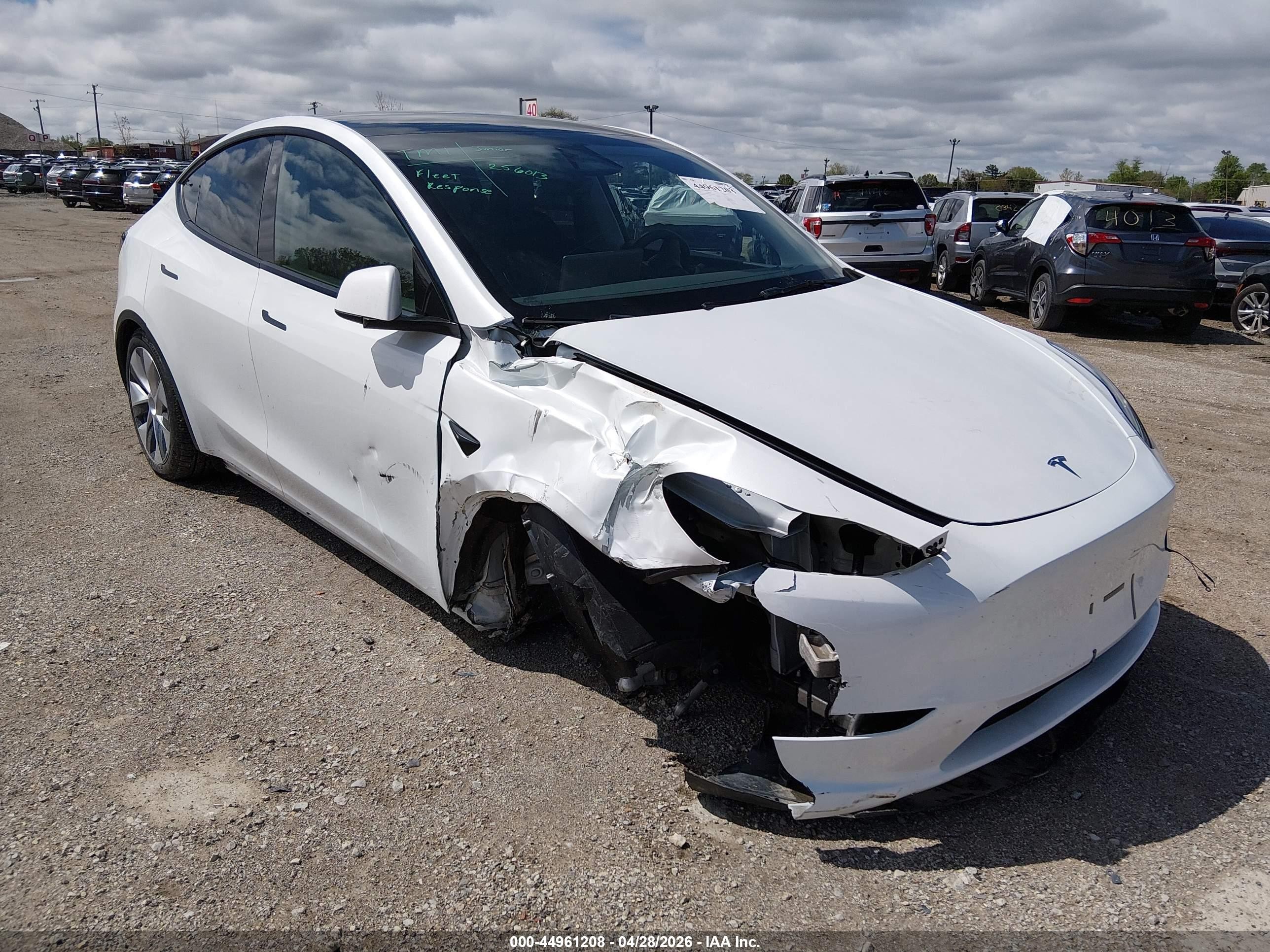 2024 Tesla Model Y Long Range, VIN 7SAYGDEE3RA256013 — Front end