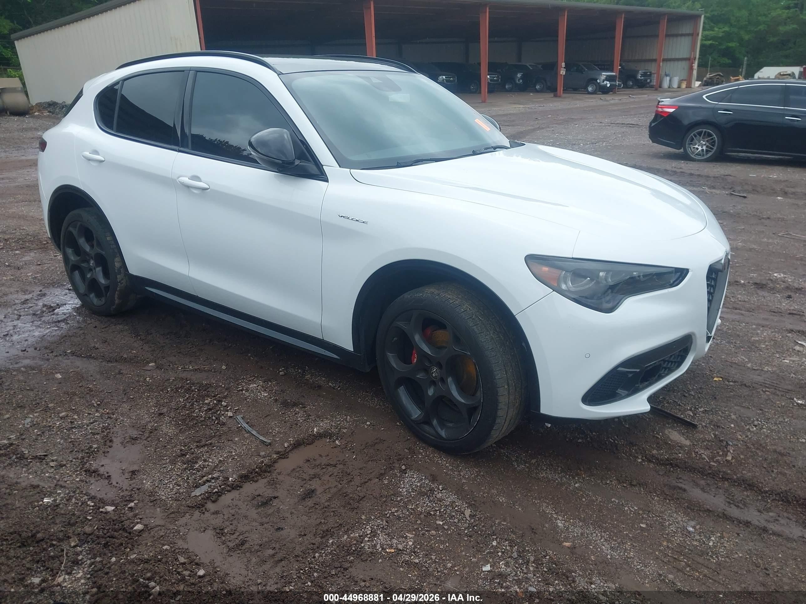 2024 Alfa Romeo Stelvio Ti, VIN ZASPAKBN8R7D70575 — Rear end