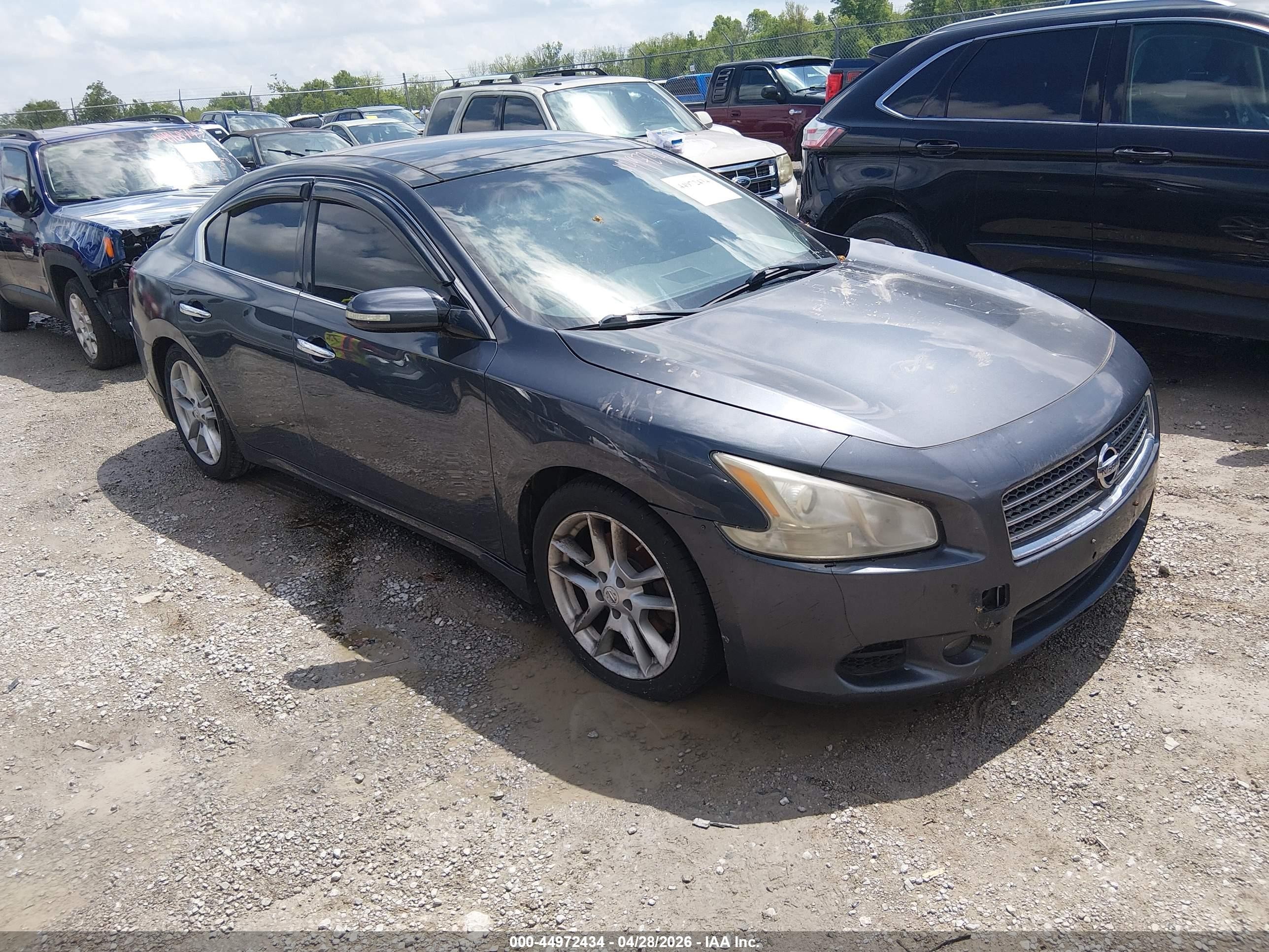 2010 Nissan Maxima SV, VIN 1N4AA5AP1AC842779 — Normal wear
