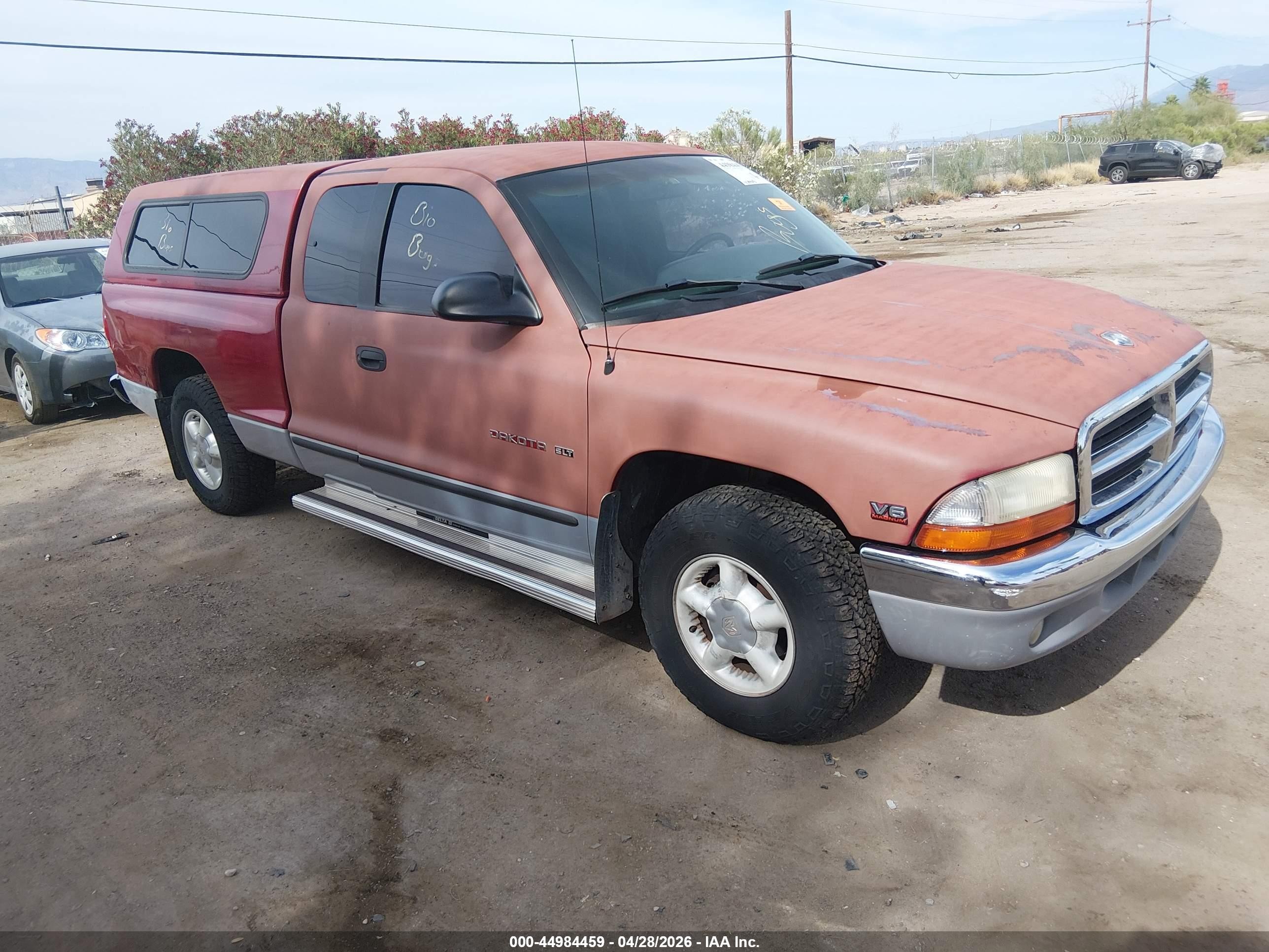 1997 Dodge Dakota, VIN 1B7GL23X7VS263916 — Биологическое загрязнение