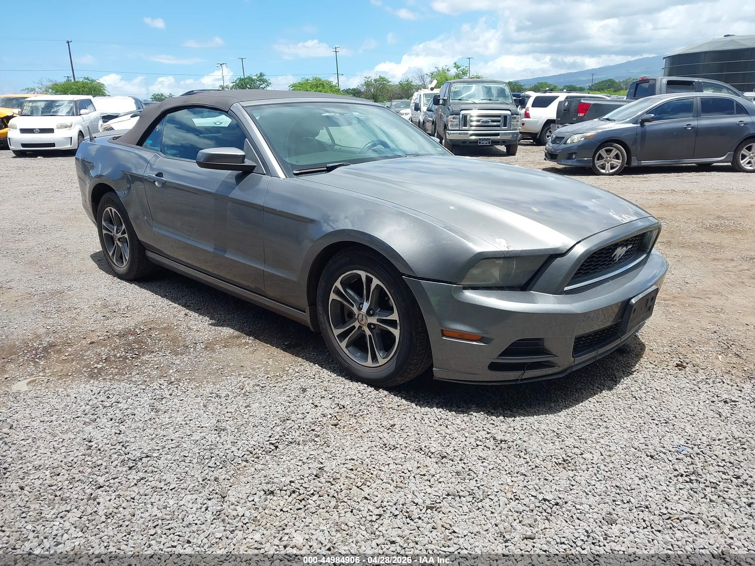 2013 Ford Mustang V6, VIN 1ZVBP8EM4D5264813 — Вода / потоп